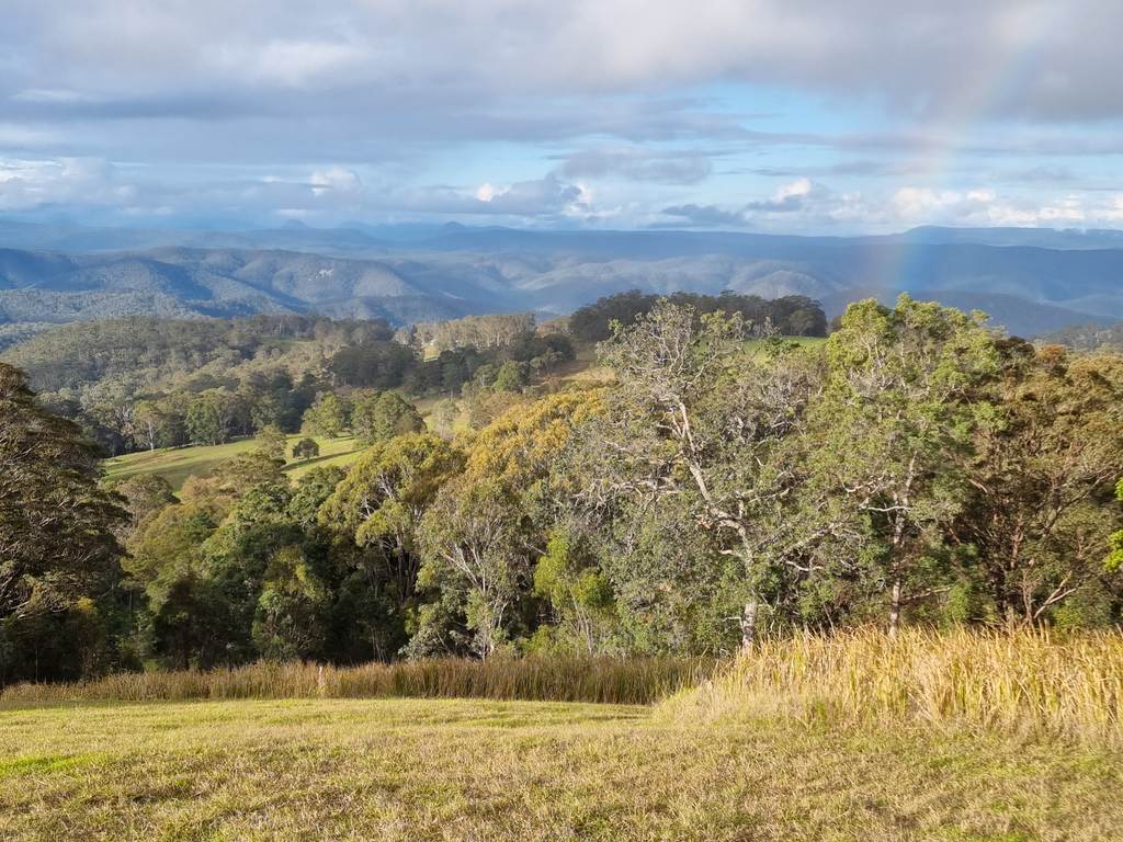 1226 Rivertree Road, Liston NSW 2372