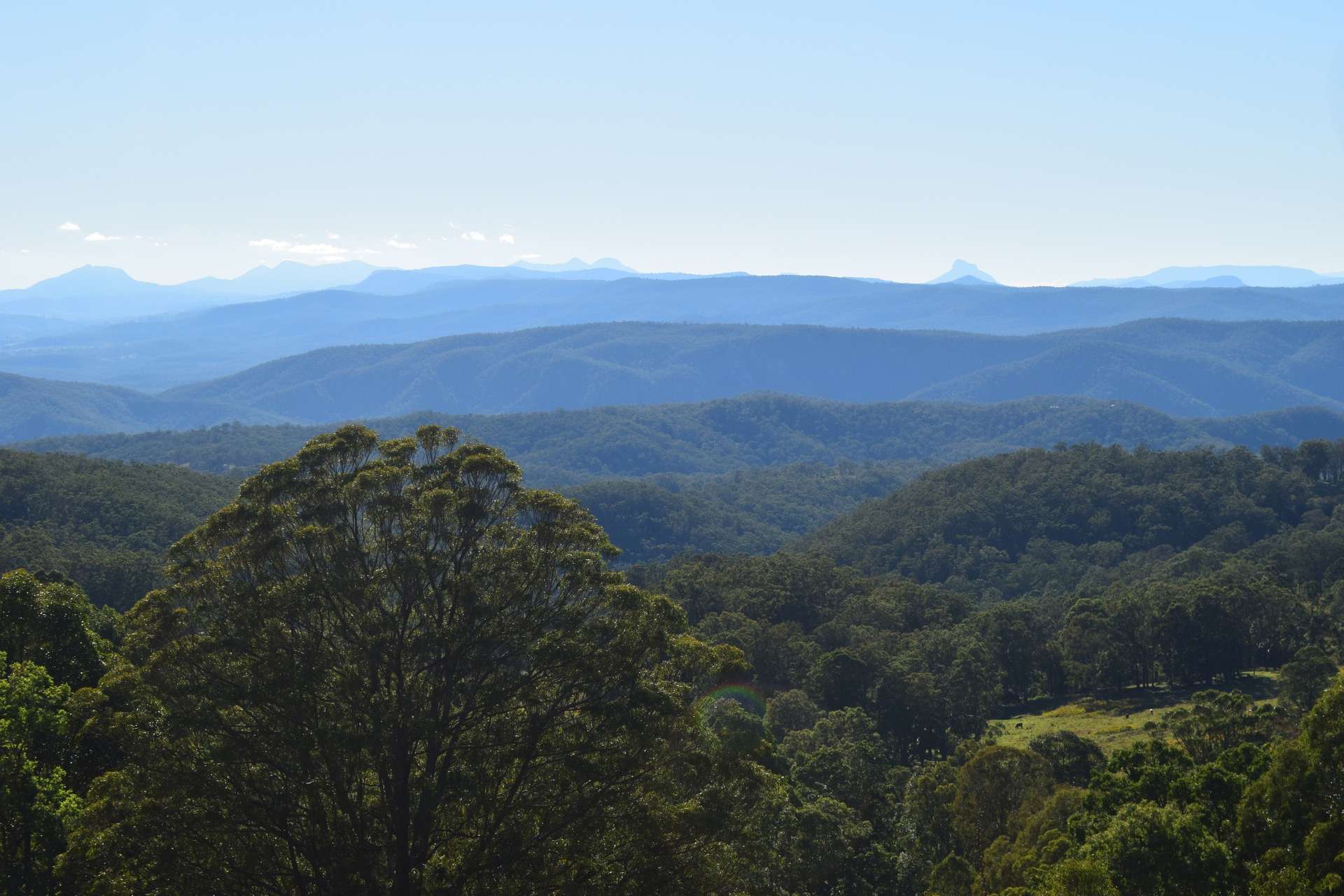 1226 Rivertree Road, Liston For Sale by Farmbuy.com - image 15