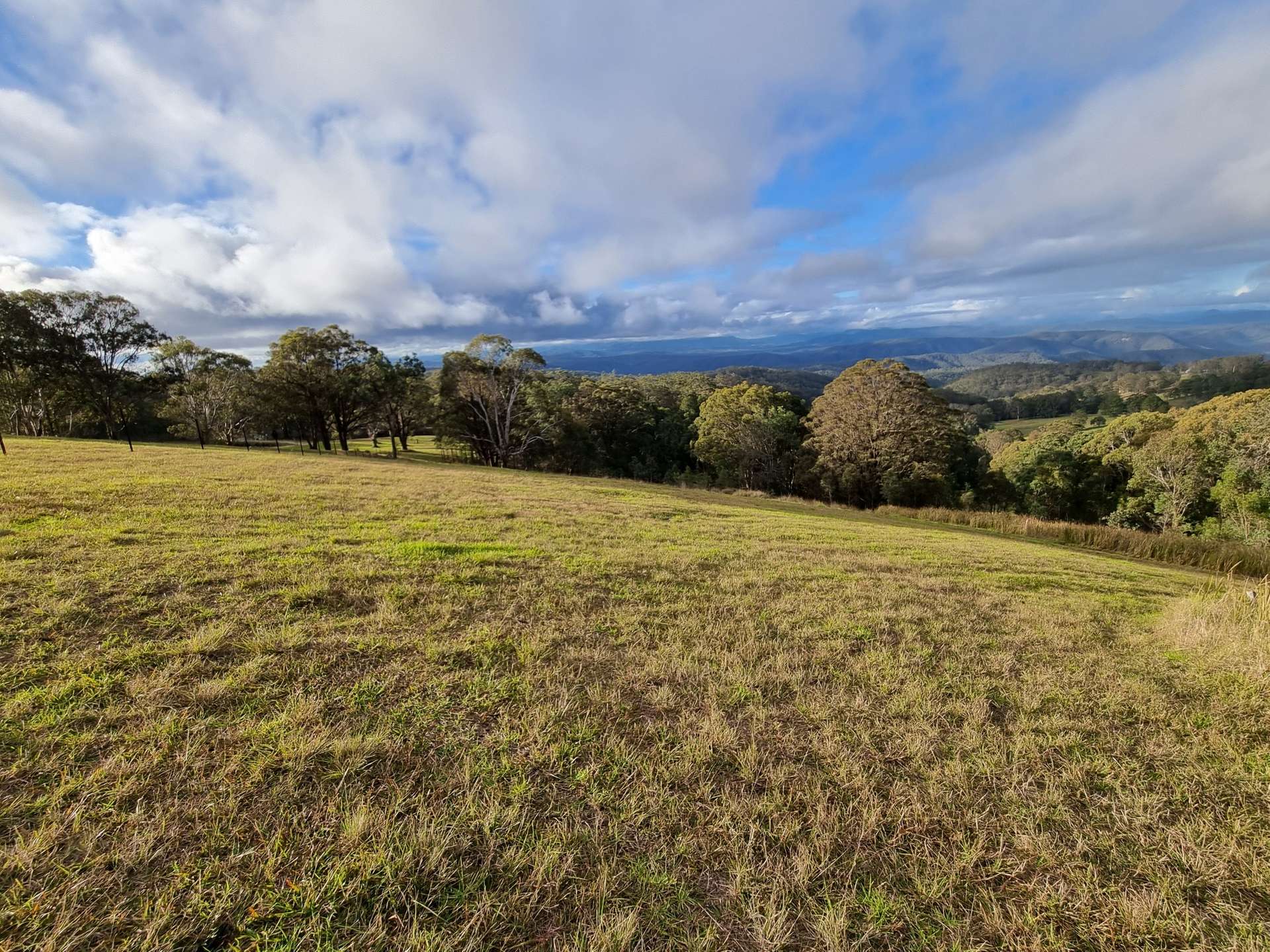 1226 Rivertree Road, Liston For Sale by Farmbuy.com - image 4