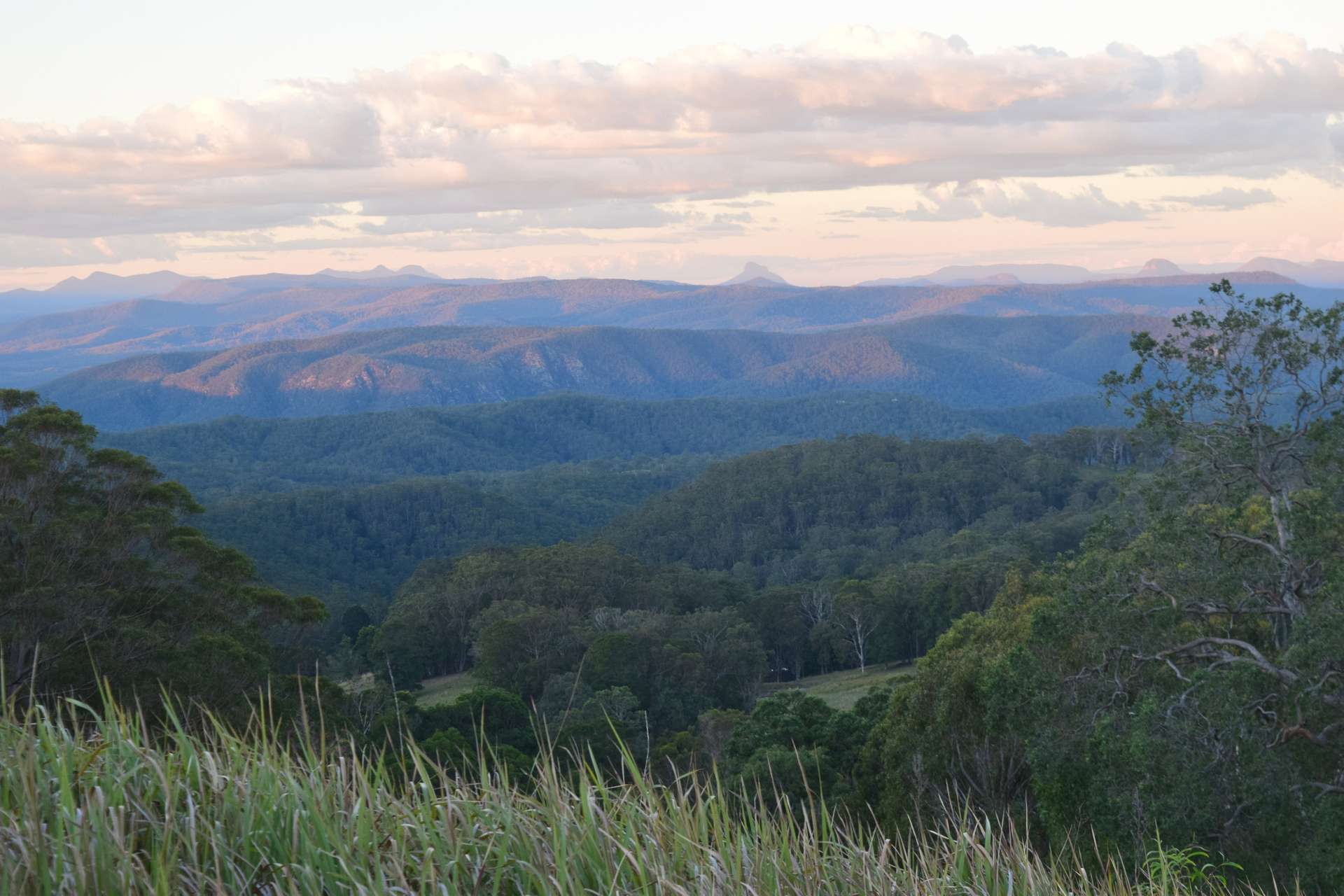 1226 Rivertree Road, Liston For Sale by Farmbuy.com - image 16
