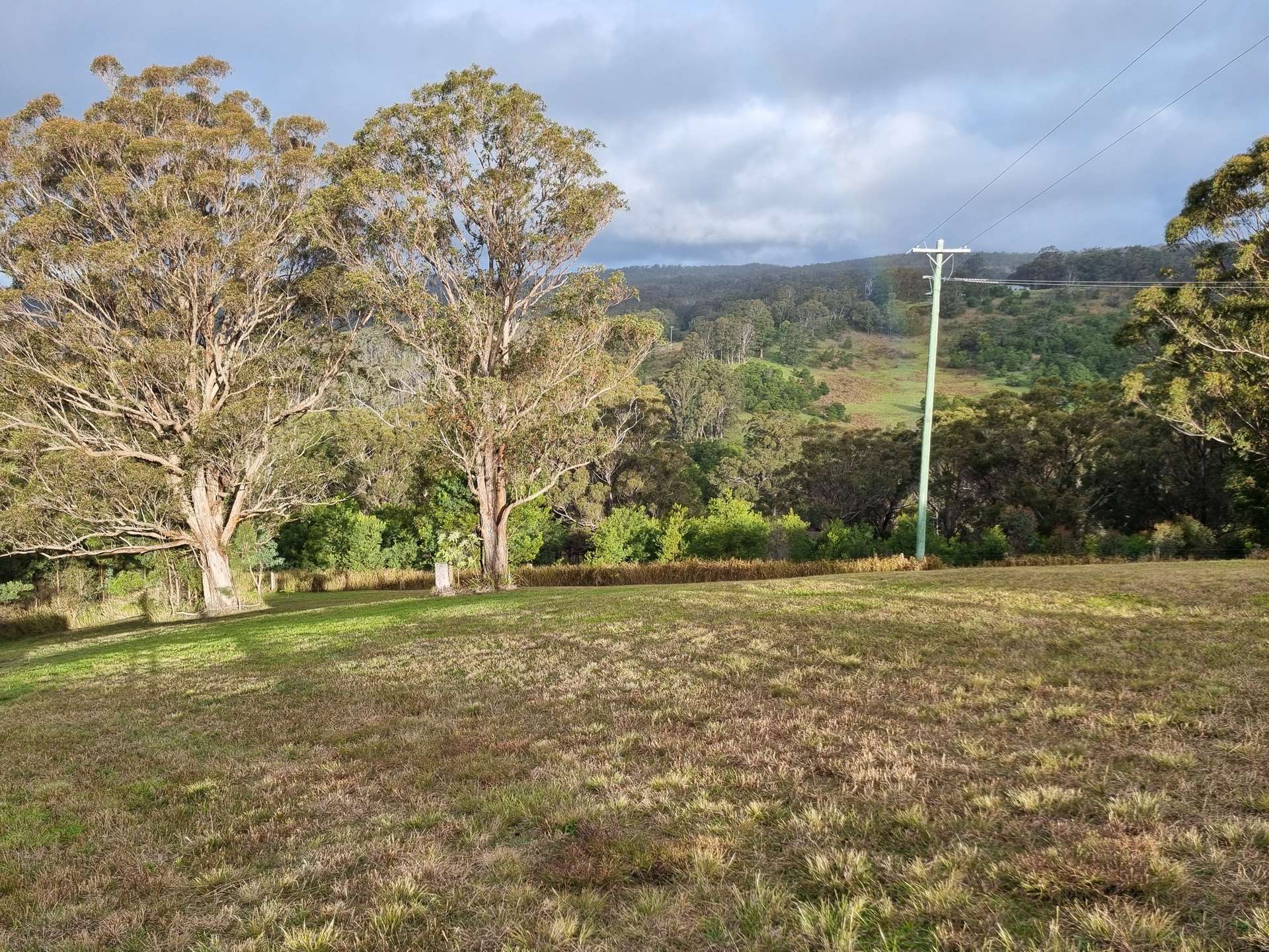 1226 Rivertree Road, Liston For Sale by Farmbuy.com - image 2