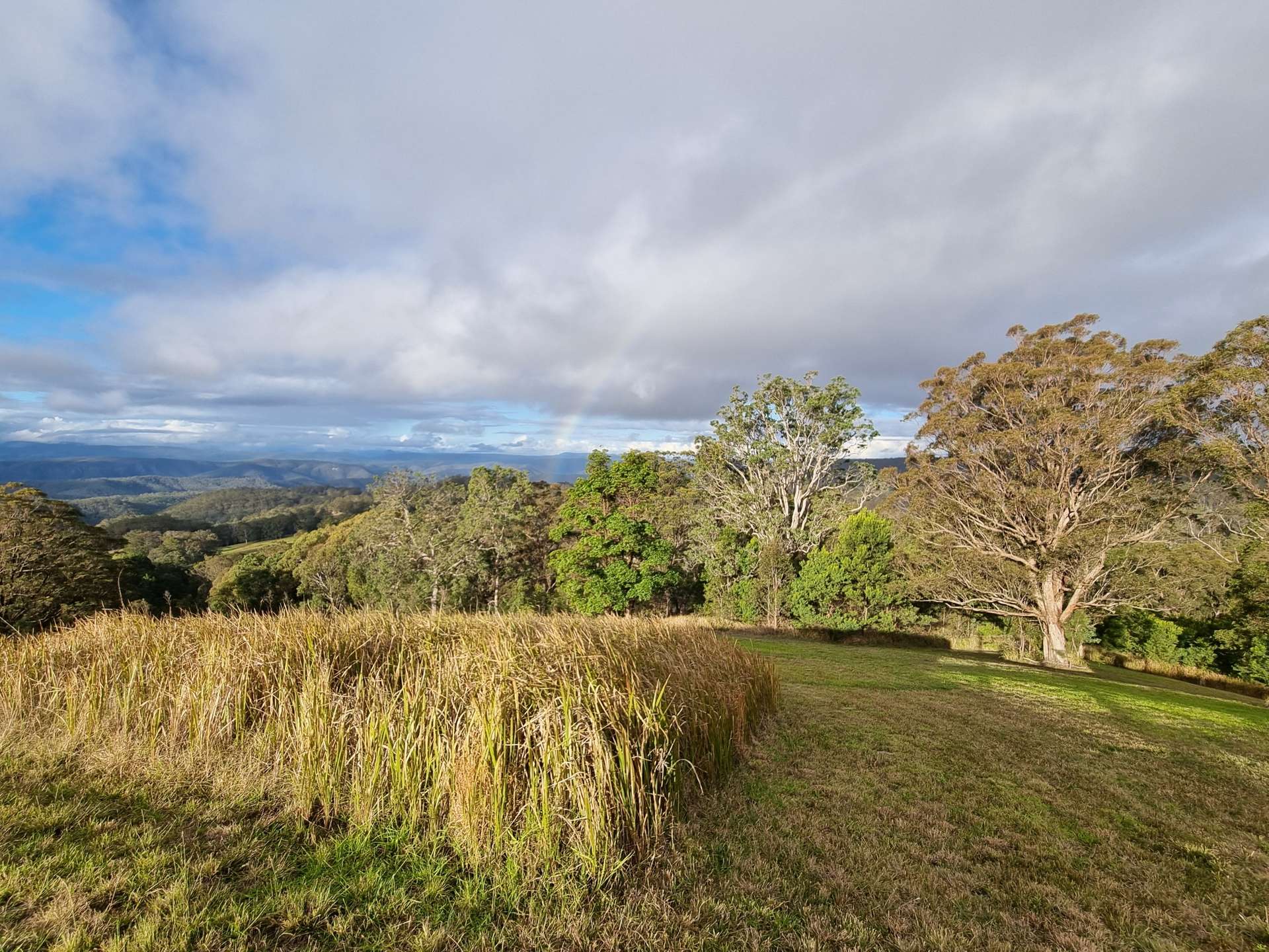 1226 Rivertree Road, Liston For Sale by Farmbuy.com - image 3