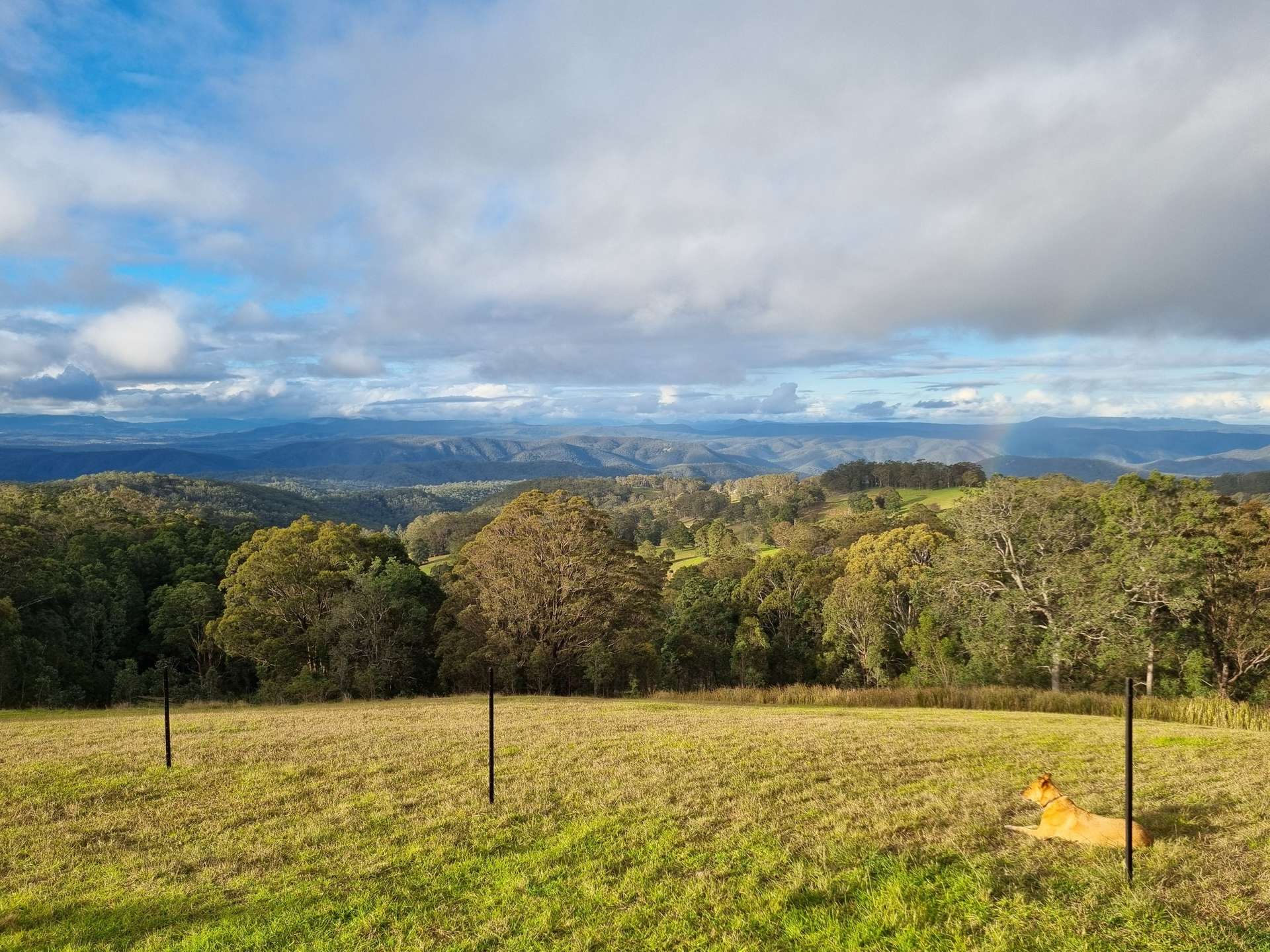 1226 Rivertree Road, Liston For Sale by Farmbuy.com - image 8