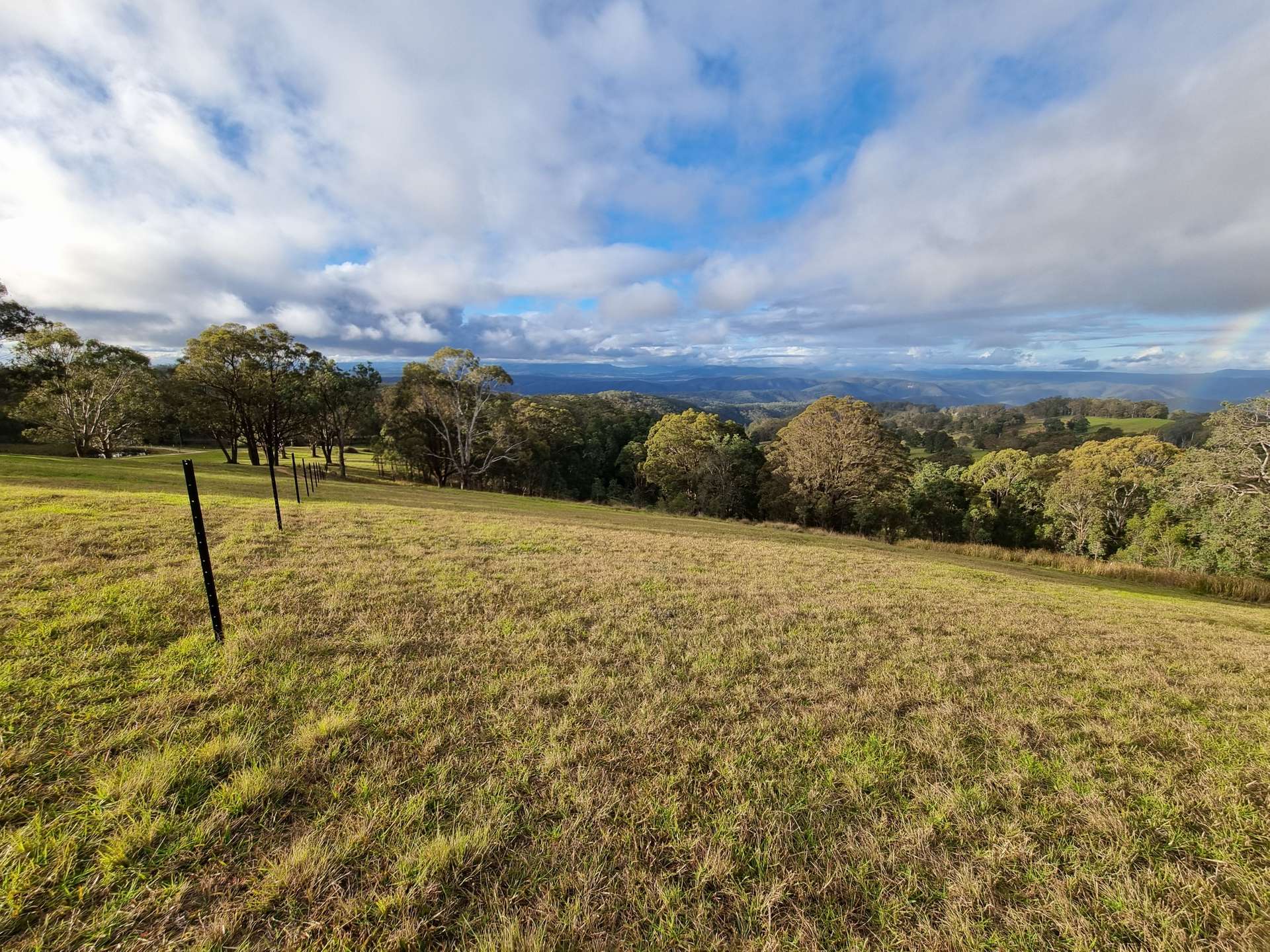 1226 Rivertree Road, Liston For Sale by Farmbuy.com - image 5