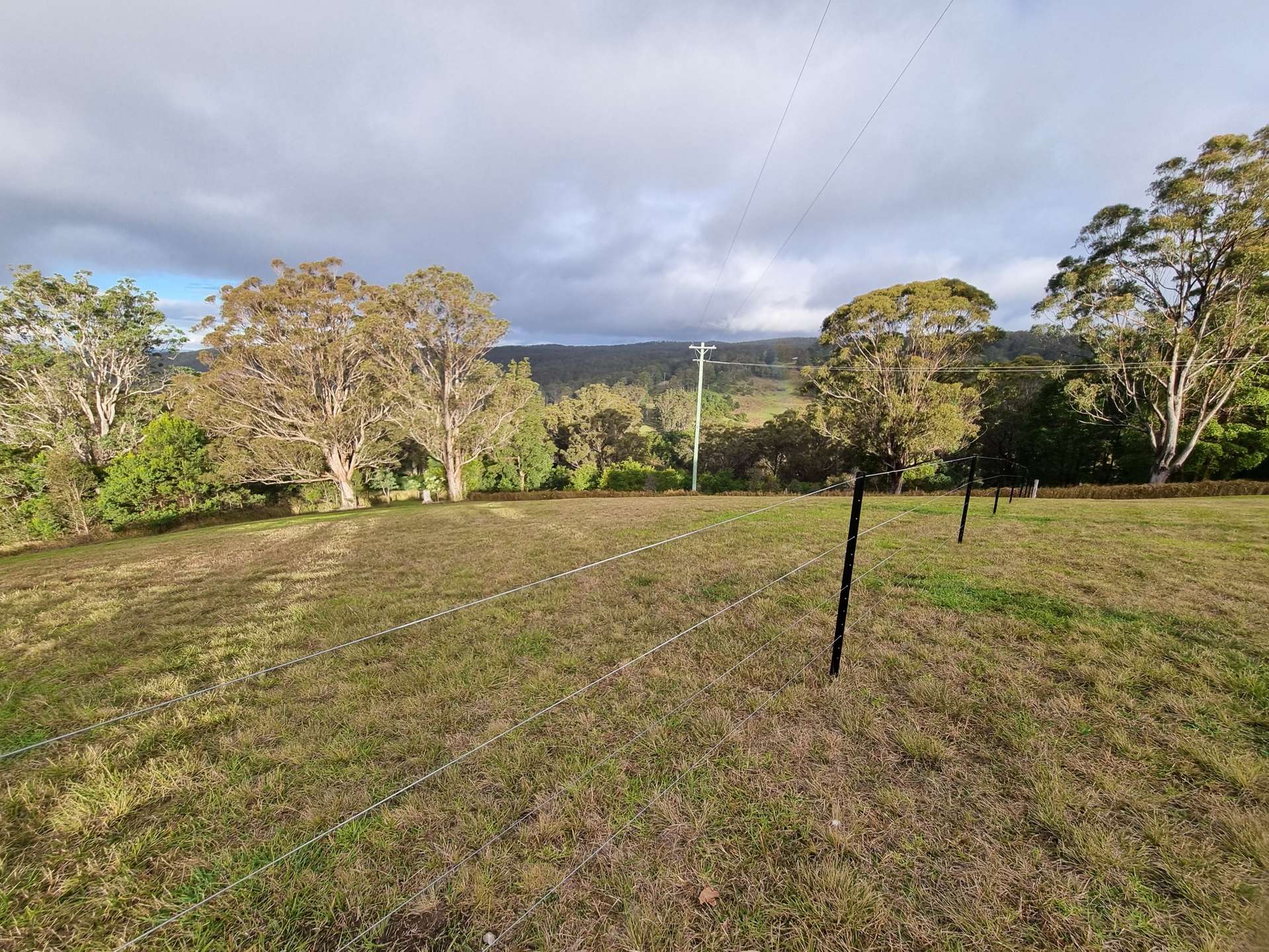 1226 Rivertree Road, Liston For Sale by Farmbuy.com - image 7