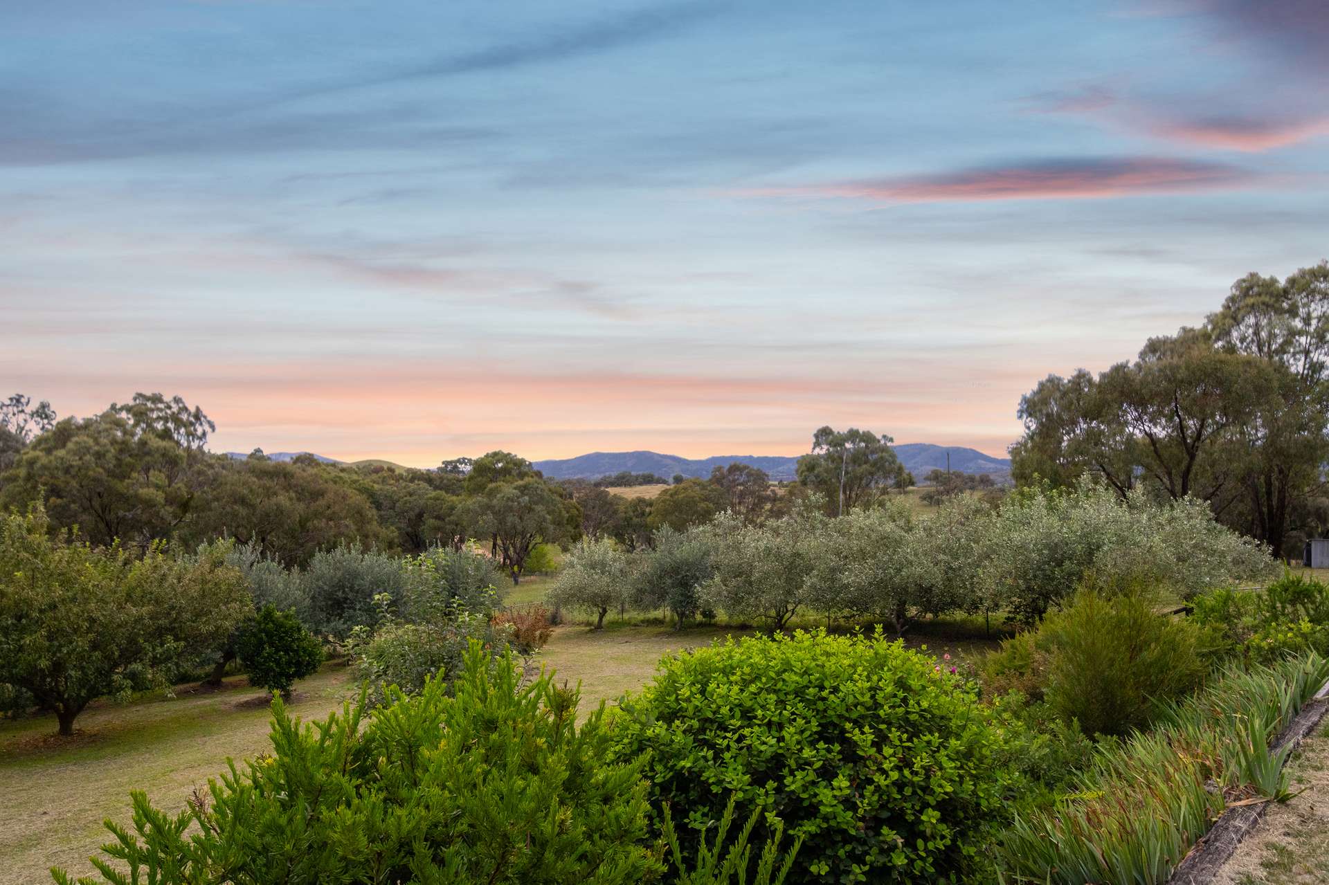 206 Yellow Box Road, The Angle For Sale by Farmbuy.com - image 31