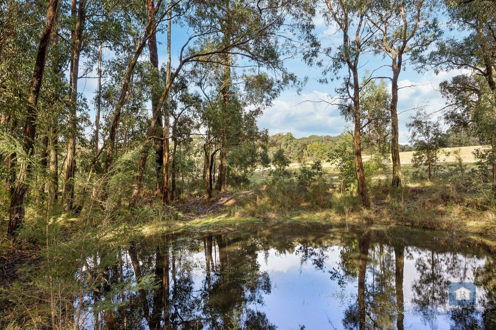 2950 Colac-Forrest Rd, Forrest For Sale by Farmbuy.com - image 5