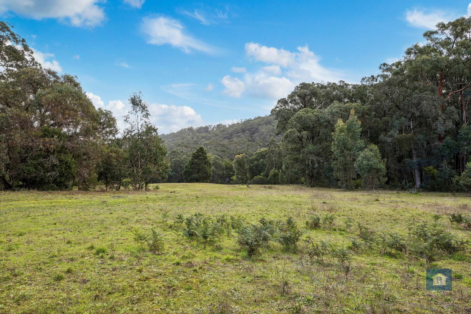 2950 Colac-Forrest Rd, Forrest For Sale by Farmbuy.com - image 12