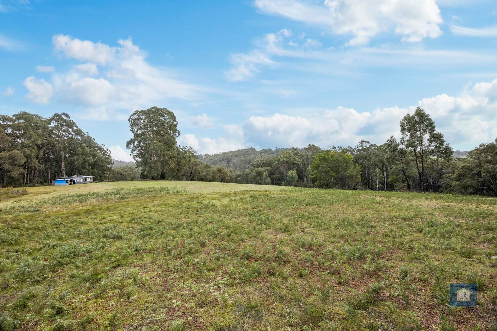 2950 Colac-Forrest Rd, Forrest For Sale by Farmbuy.com - image 11