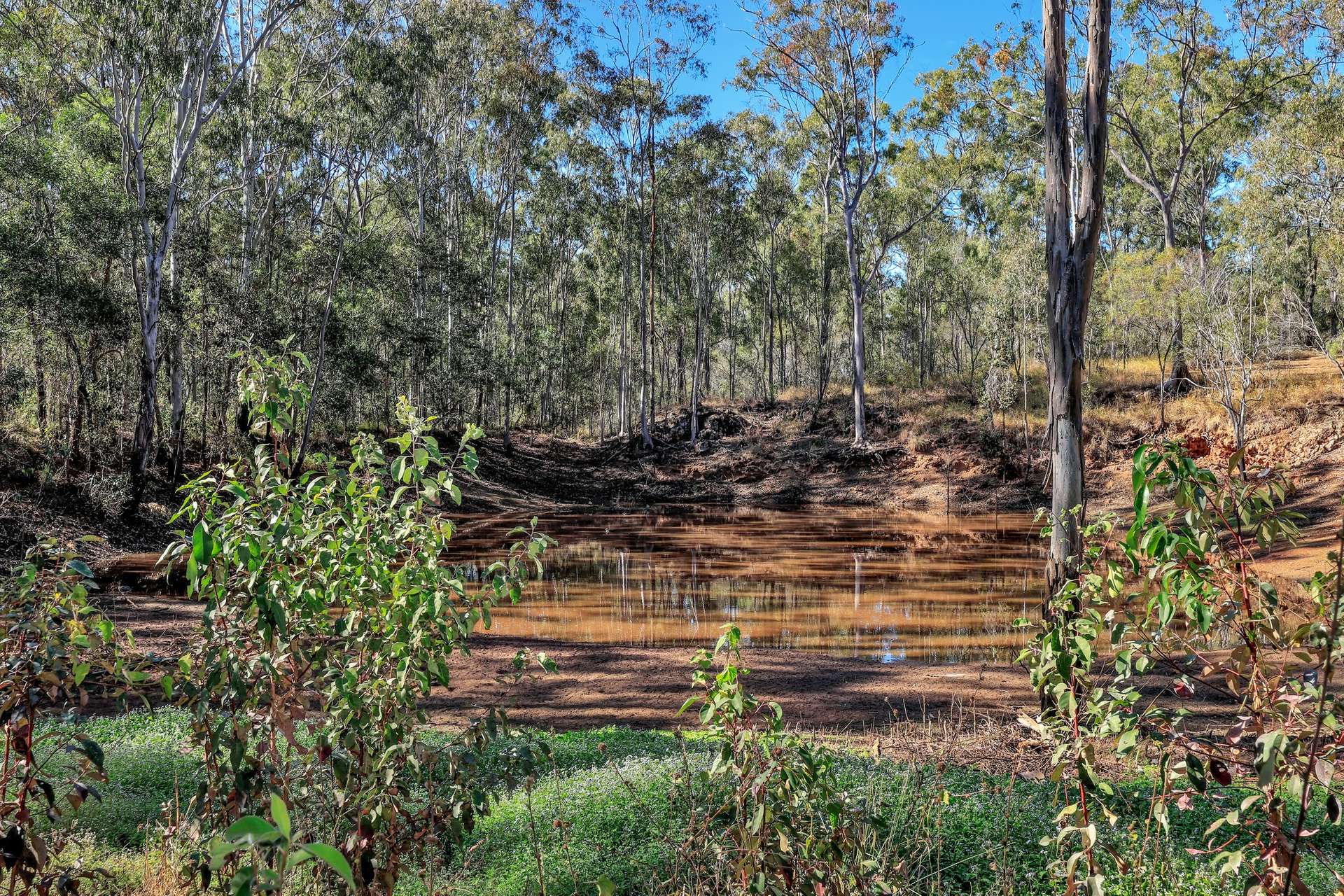 60 Lirema Court, Delan For Sale by Farmbuy.com - image 32