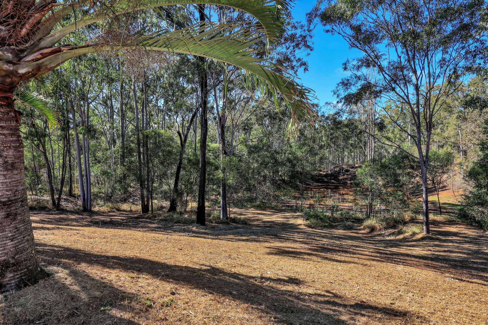 60 Lirema Court, Delan For Sale by Farmbuy.com - image 28