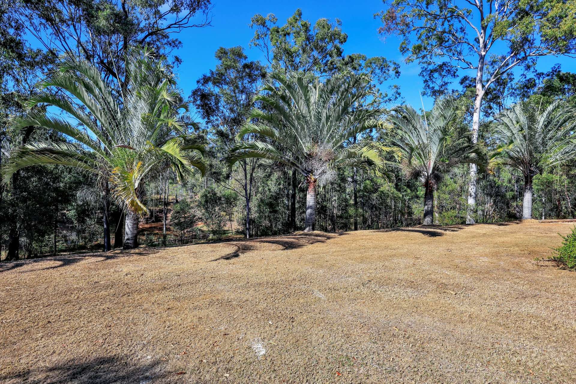 60 Lirema Court, Delan For Sale by Farmbuy.com - image 27