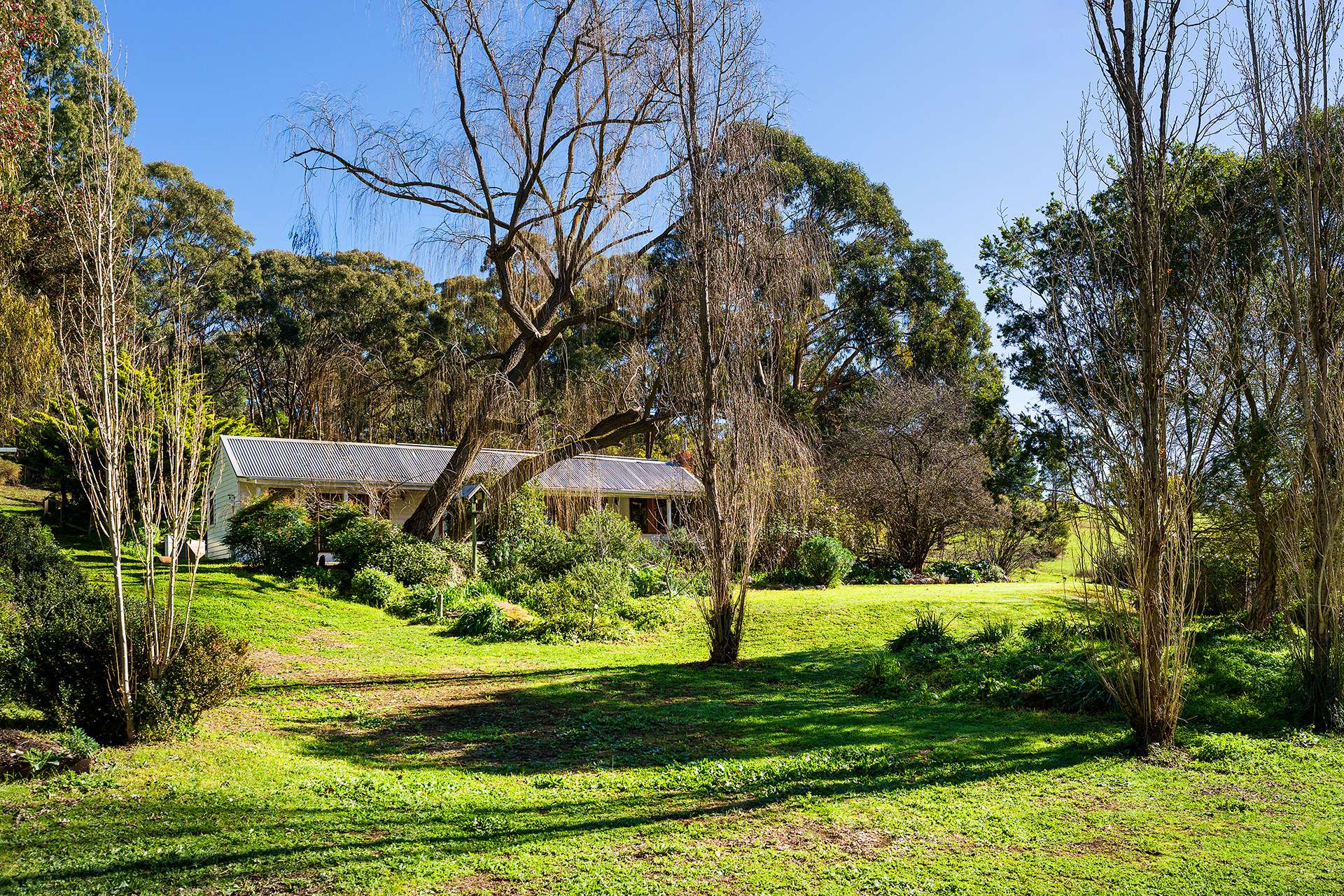 11 Monks Hill Road, Chewton For Sale by Farmbuy.com - image 17