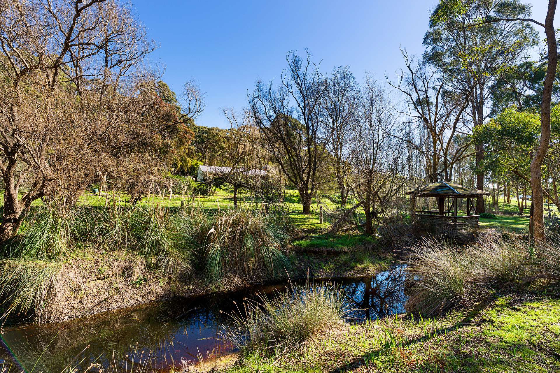 11 Monks Hill Road, Chewton For Sale by Farmbuy.com - image 19