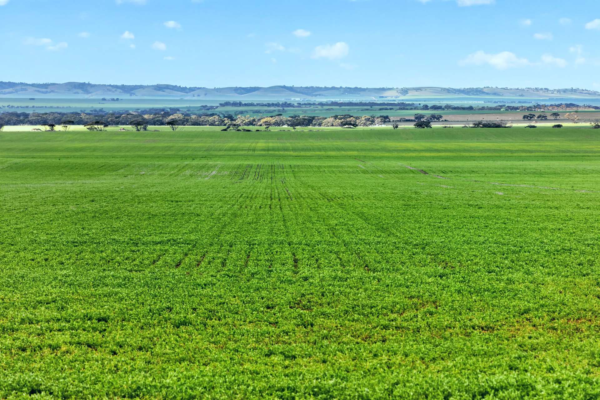 'Gleeson's Corner' Gleeson Road, Mount Templeton For Sale by Farmbuy.com - image 1