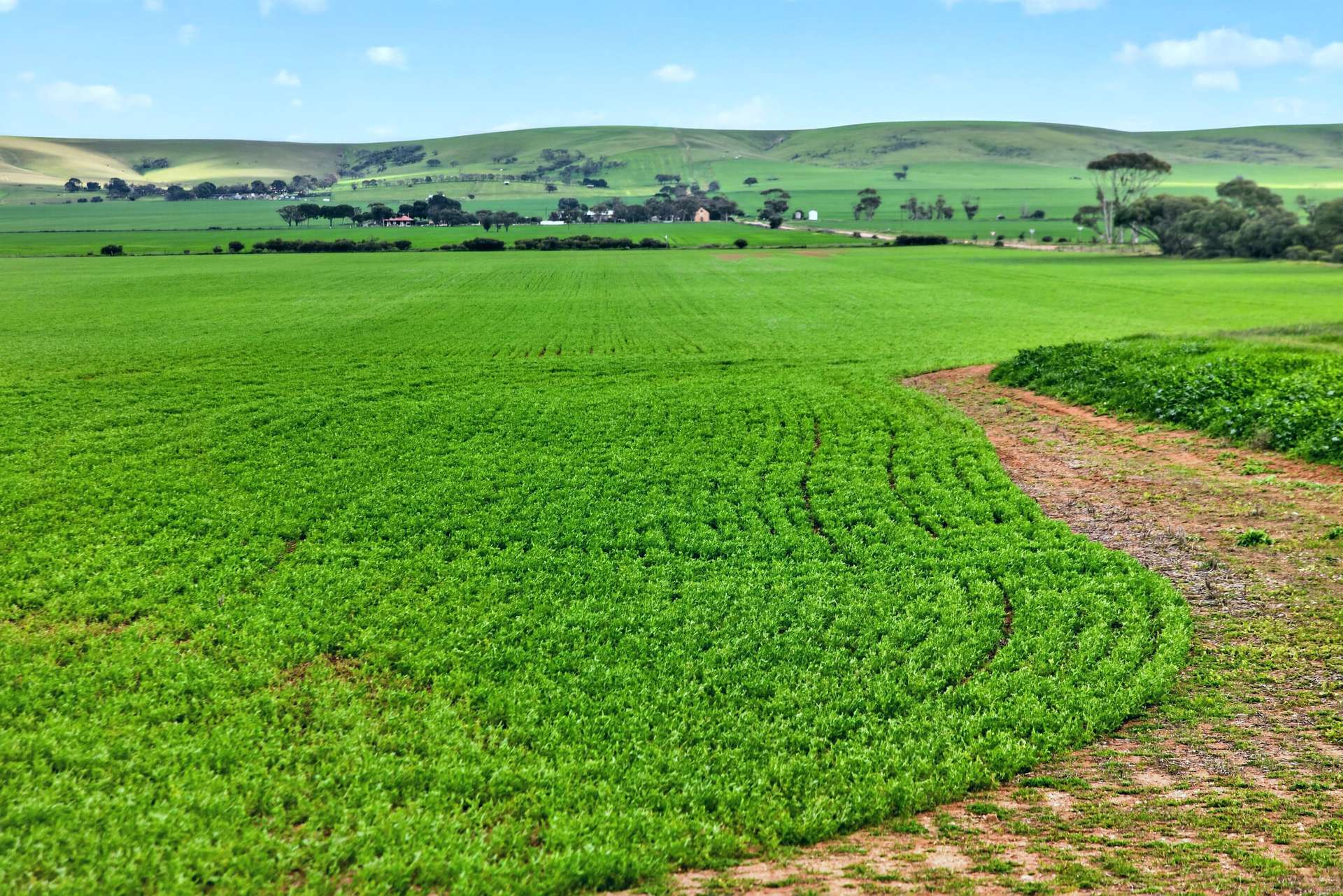 'Gleeson's Corner' Gleeson Road, Mount Templeton For Sale by Farmbuy.com - image 2
