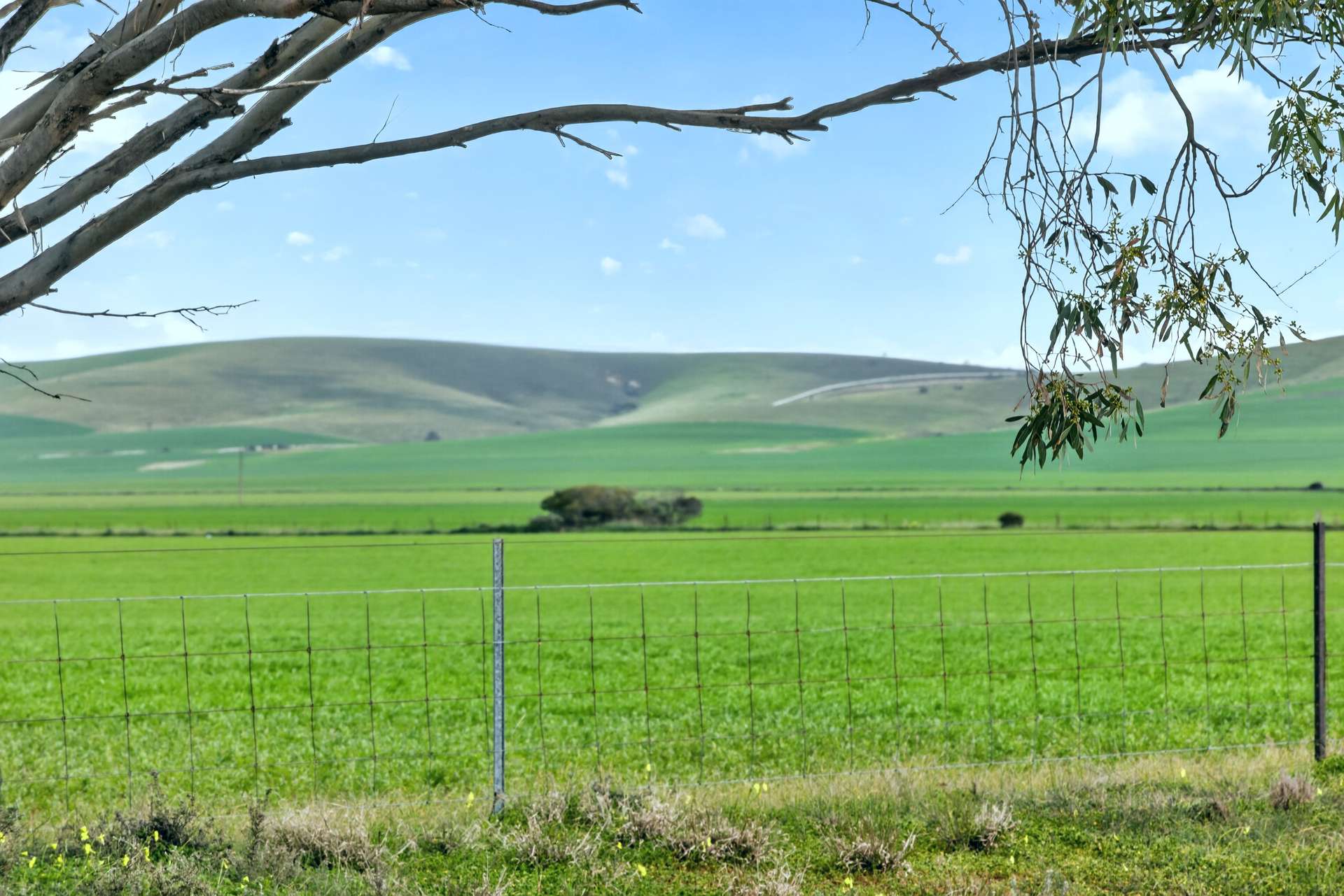 'Gleeson's Corner' Gleeson Road, Mount Templeton For Sale by Farmbuy.com - image 11