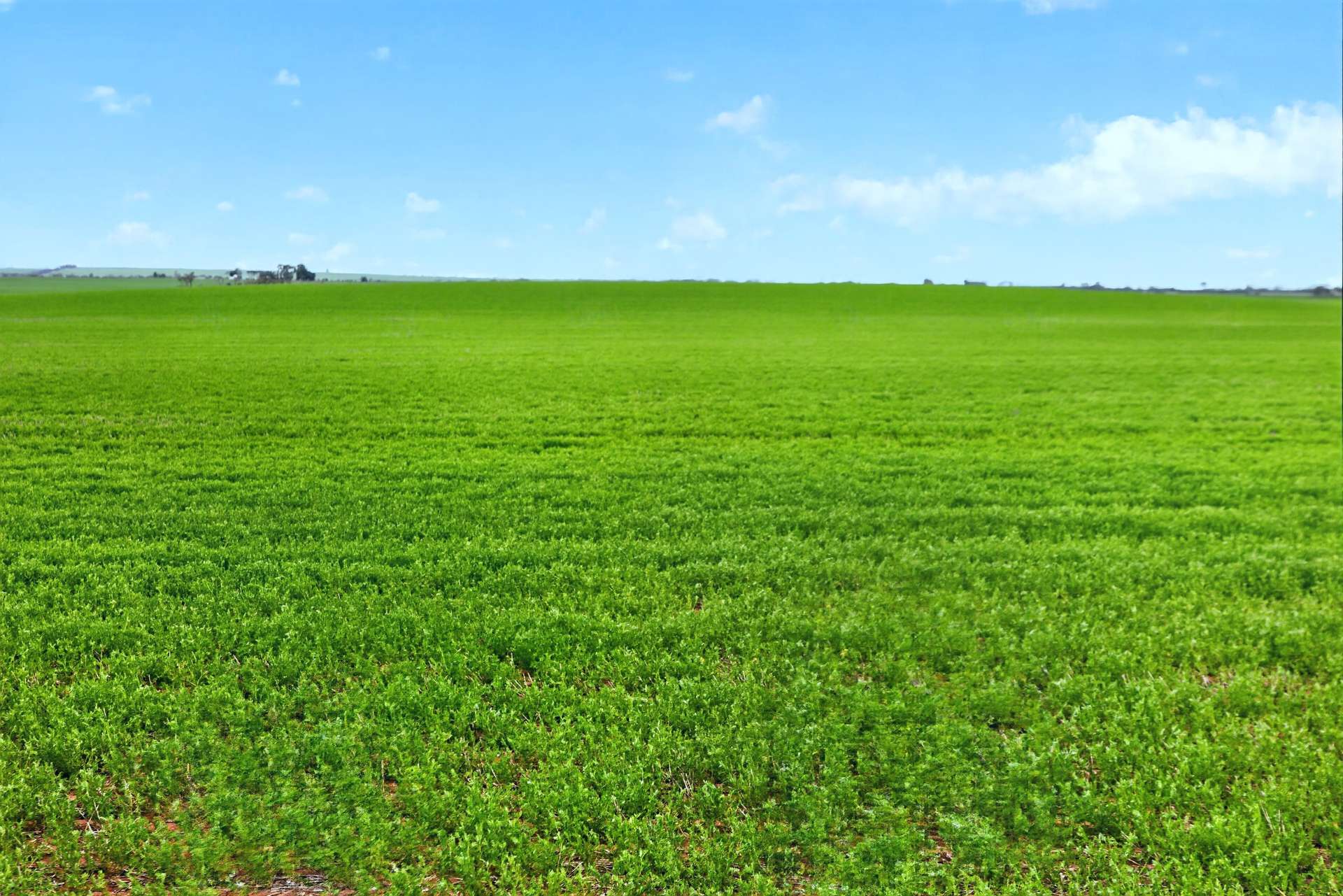 'Gleeson's Corner' Gleeson Road, Mount Templeton For Sale by Farmbuy.com - image 23