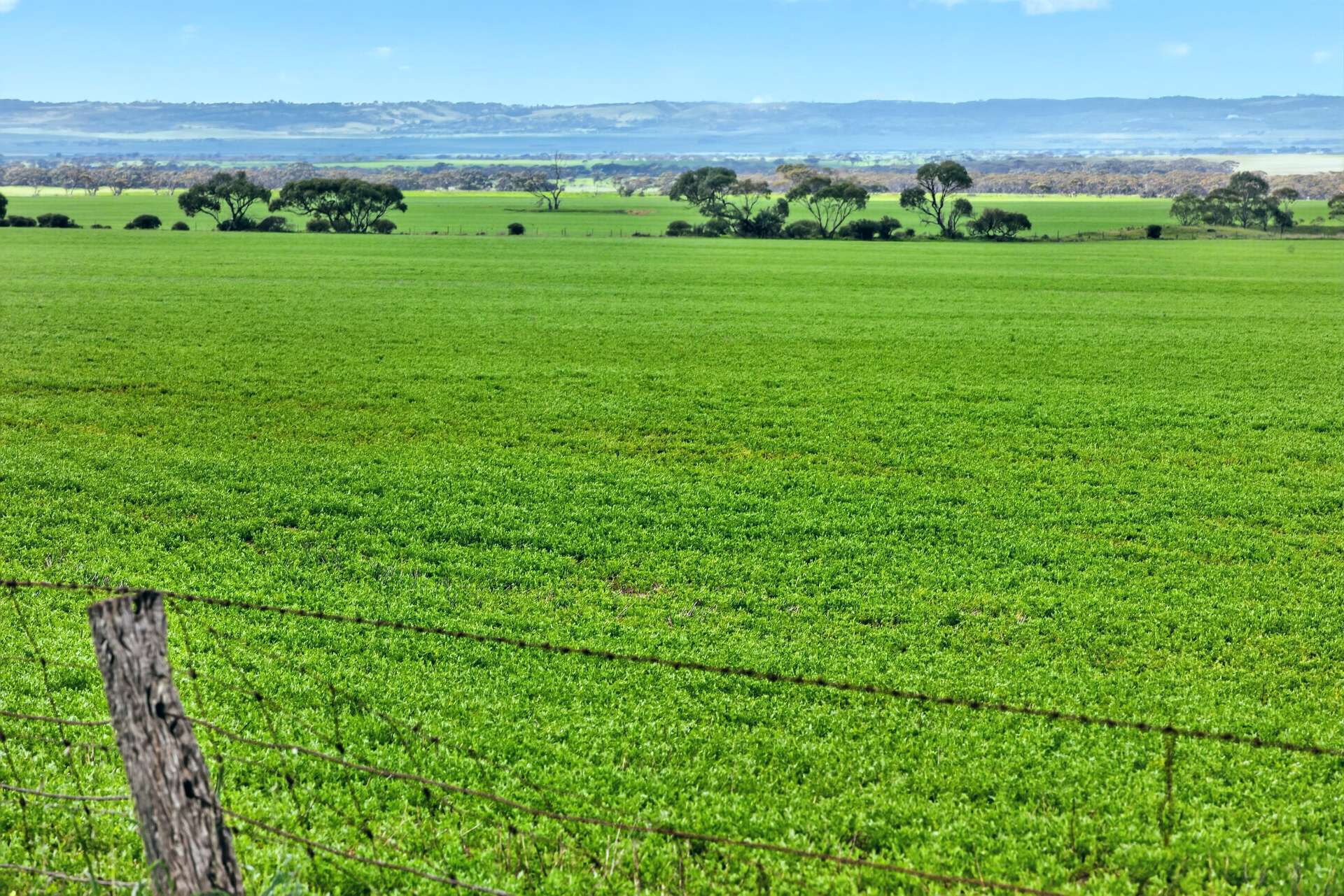 'Gleeson's Corner' Gleeson Road, Mount Templeton For Sale by Farmbuy.com - image 18