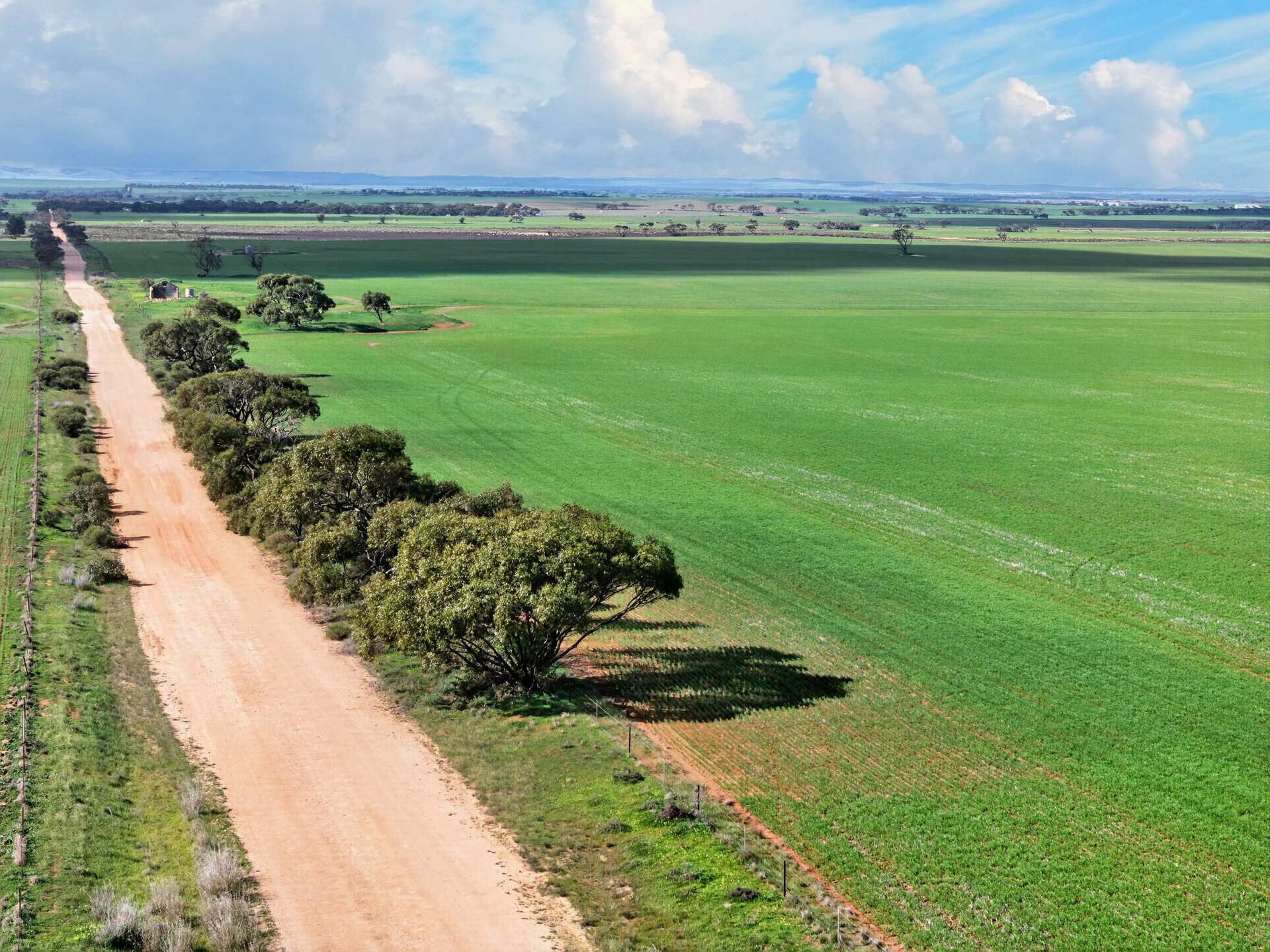 'Gleeson's Corner' Gleeson Road, Mount Templeton For Sale by Farmbuy.com - image 6