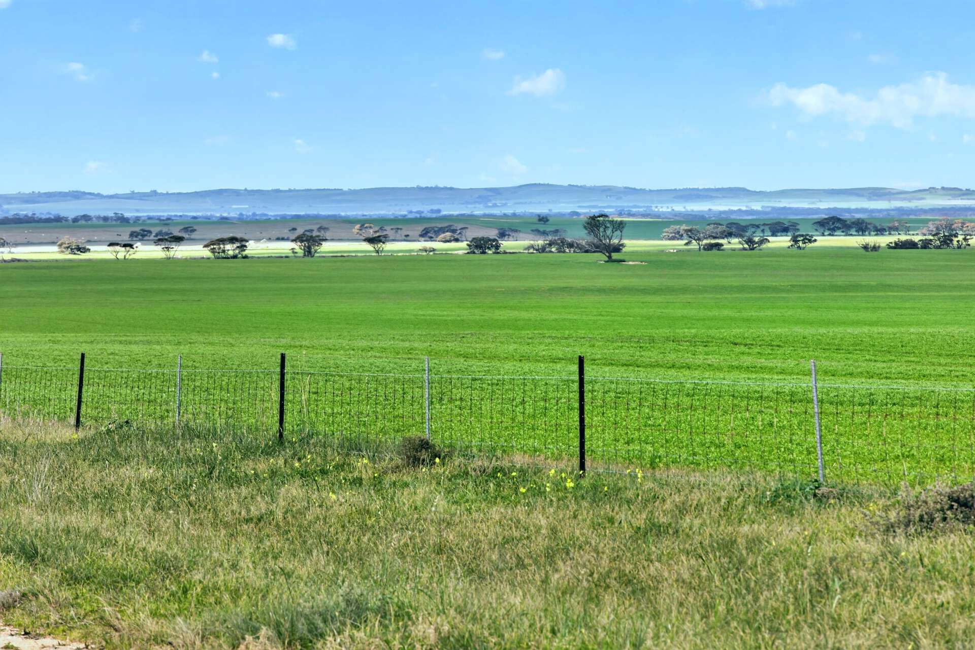 'Gleeson's Corner' Gleeson Road, Mount Templeton For Sale by Farmbuy.com - image 17