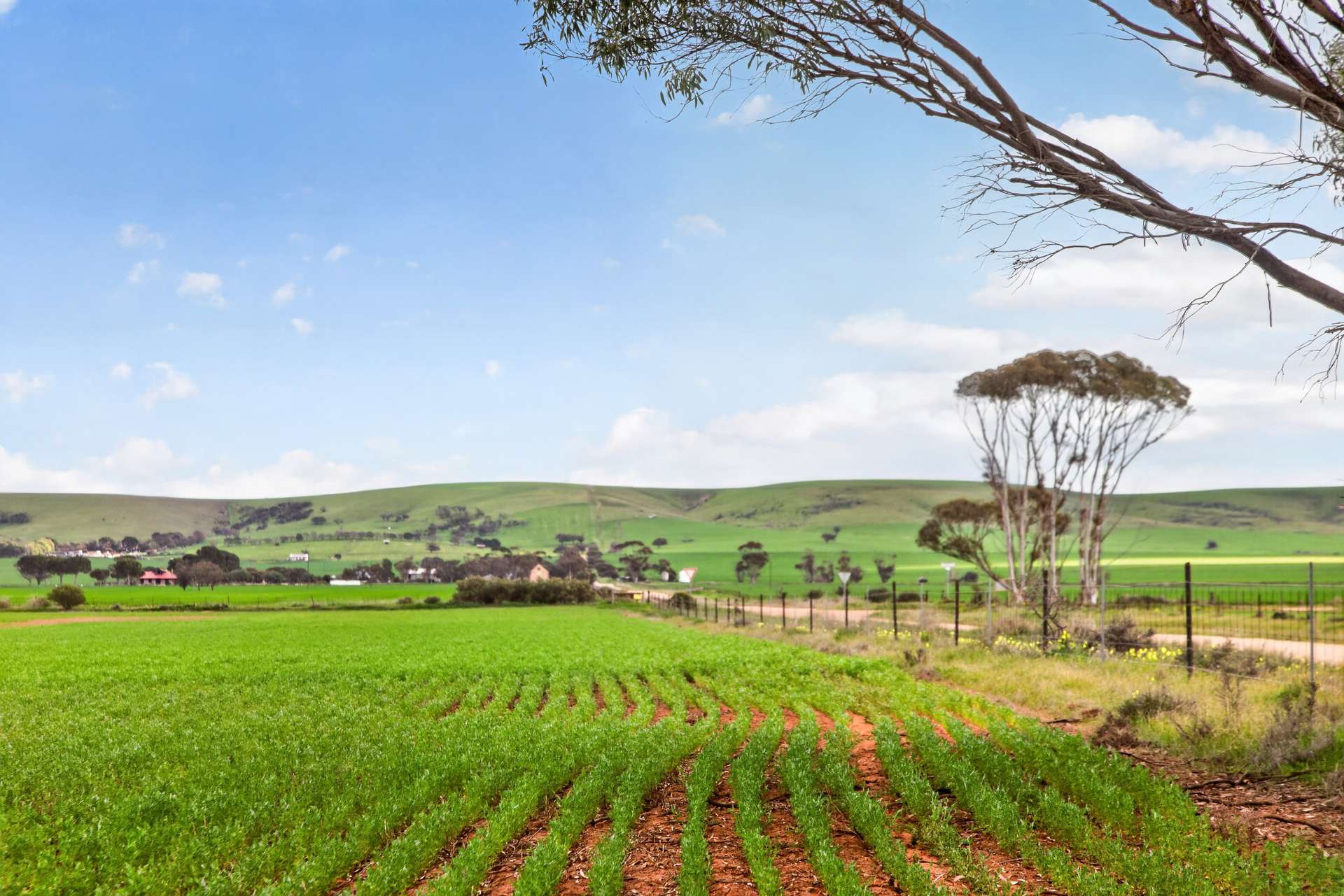 'Gleeson's Corner' Gleeson Road, Mount Templeton For Sale by Farmbuy.com - image 21