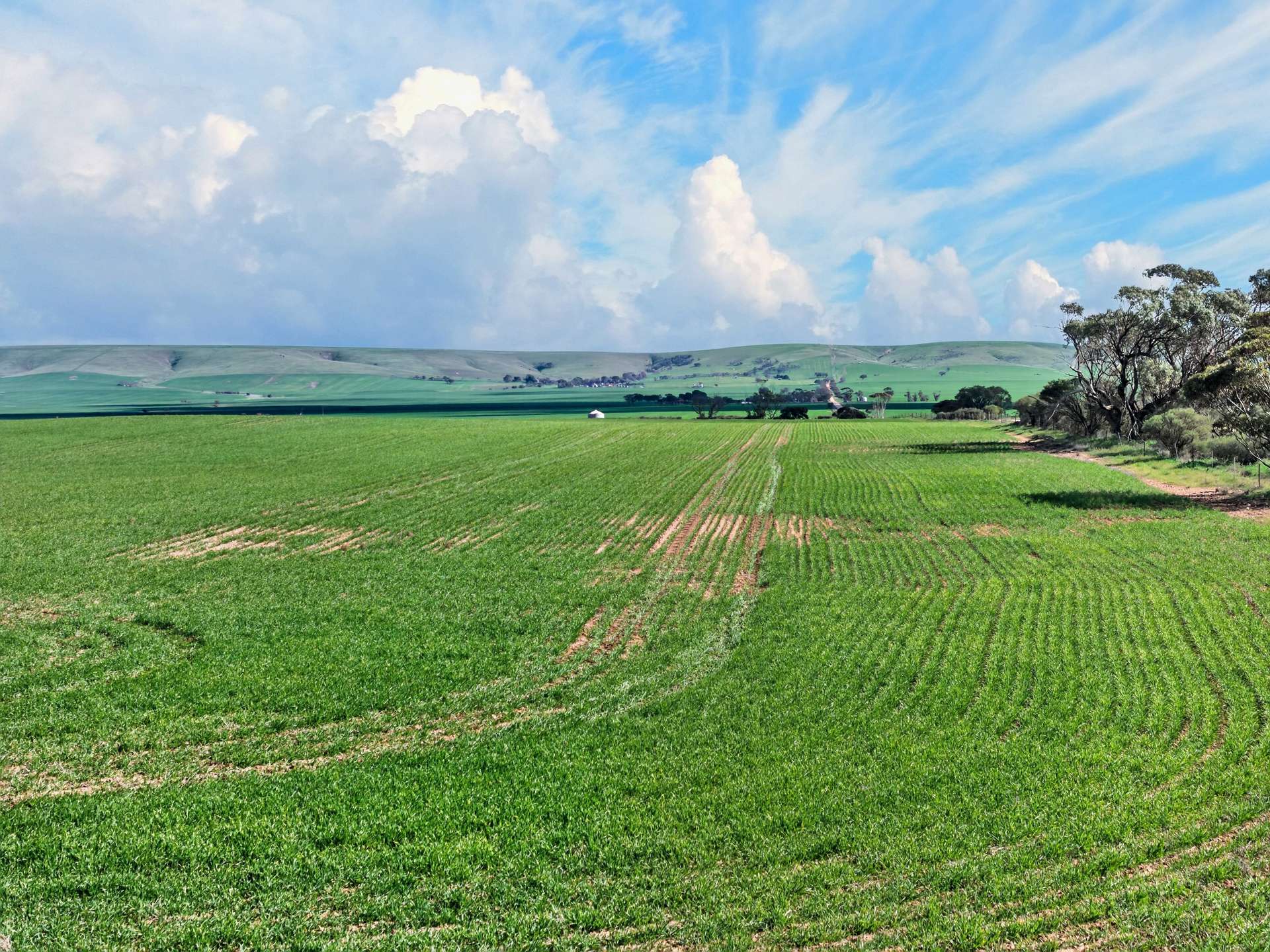 'Gleeson's Corner' Gleeson Road, Mount Templeton For Sale by Farmbuy.com - image 16