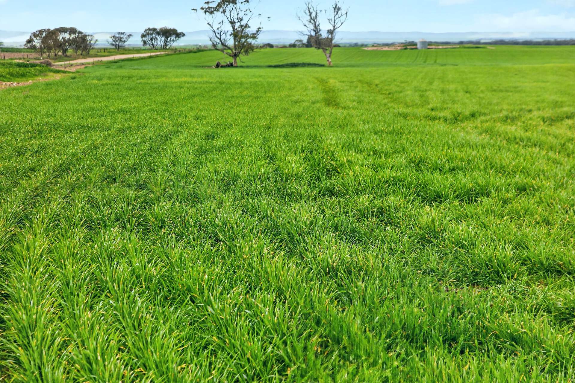 'Gleeson's Corner' Gleeson Road, Mount Templeton For Sale by Farmbuy.com - image 3