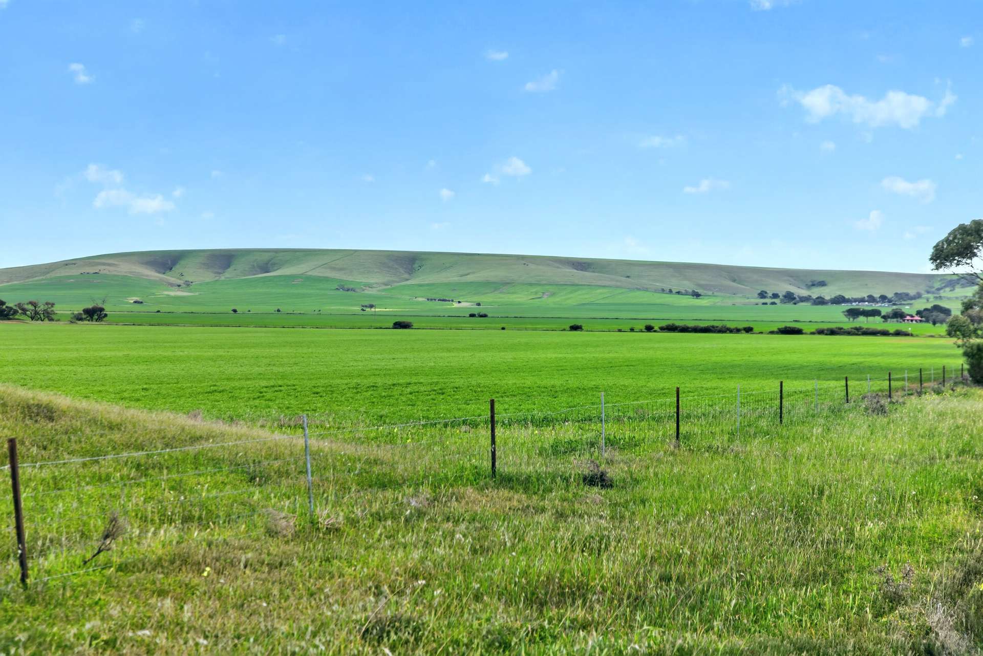 'Gleeson's Corner' Gleeson Road, Mount Templeton For Sale by Farmbuy.com - image 25
