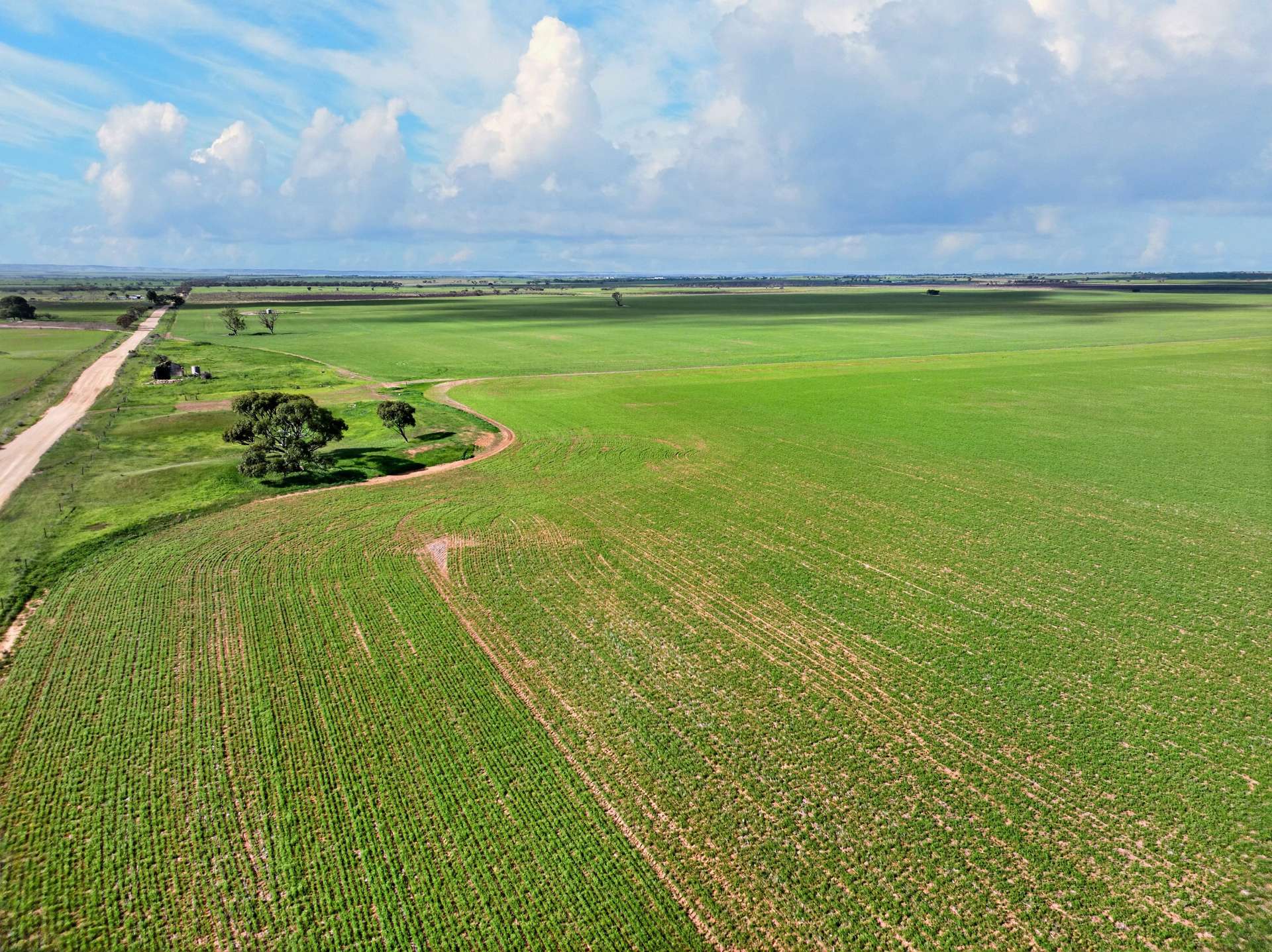 'Gleeson's Corner' Gleeson Road, Mount Templeton For Sale by Farmbuy.com - image 15