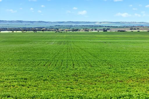 Farm For Sale - SA - Mount Templeton - 5461 - Versatile Mt Templeton Farmland with Expansion Appeal 