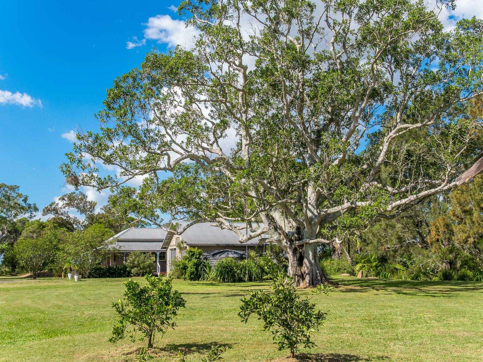 765 Tomki Tatham Road, Tatham For Sale by Farmbuy.com - image 31
