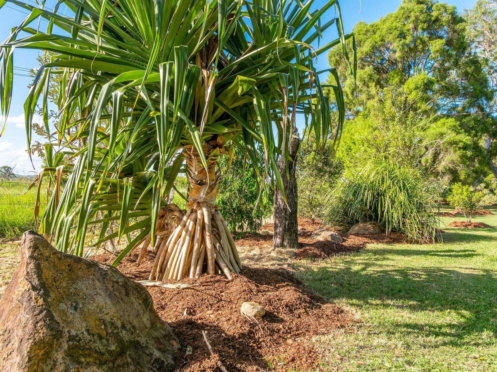 765 Tomki Tatham Road, Tatham For Sale by Farmbuy.com - image 32