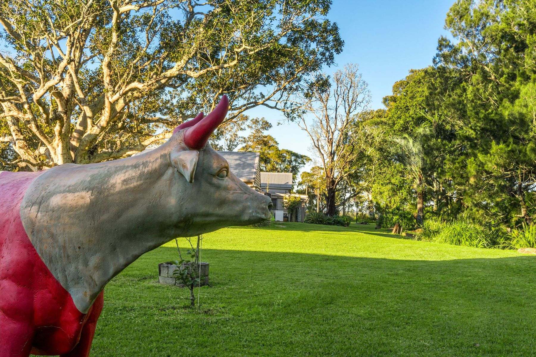 765 Tomki Tatham Road, Tatham For Sale by Farmbuy.com - image 7