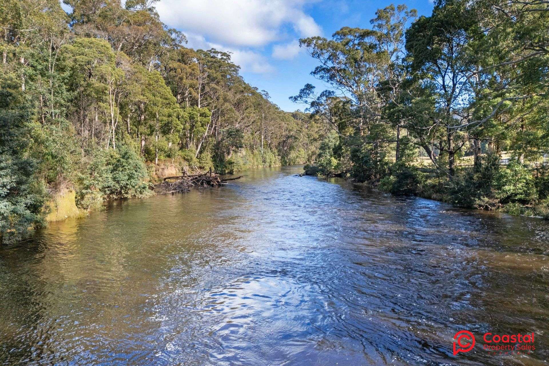 463 Lobster Creek Road, West Ulverstone For Sale by Farmbuy.com - image 19