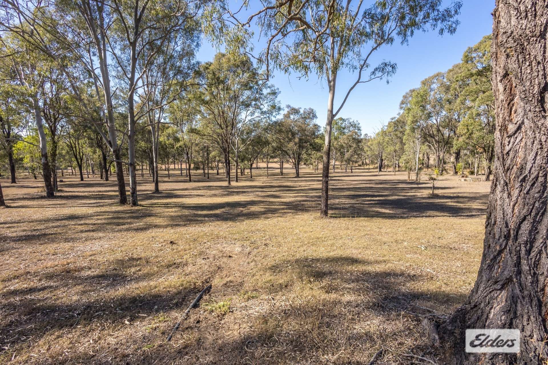 181 Grantham Scrub Road, Veradilla For Sale by Farmbuy.com - image 19