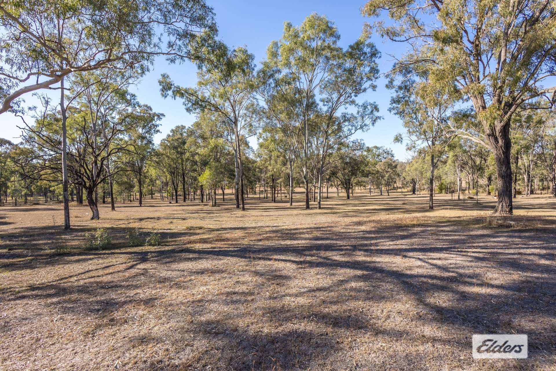 181 Grantham Scrub Road, Veradilla For Sale by Farmbuy.com - image 18