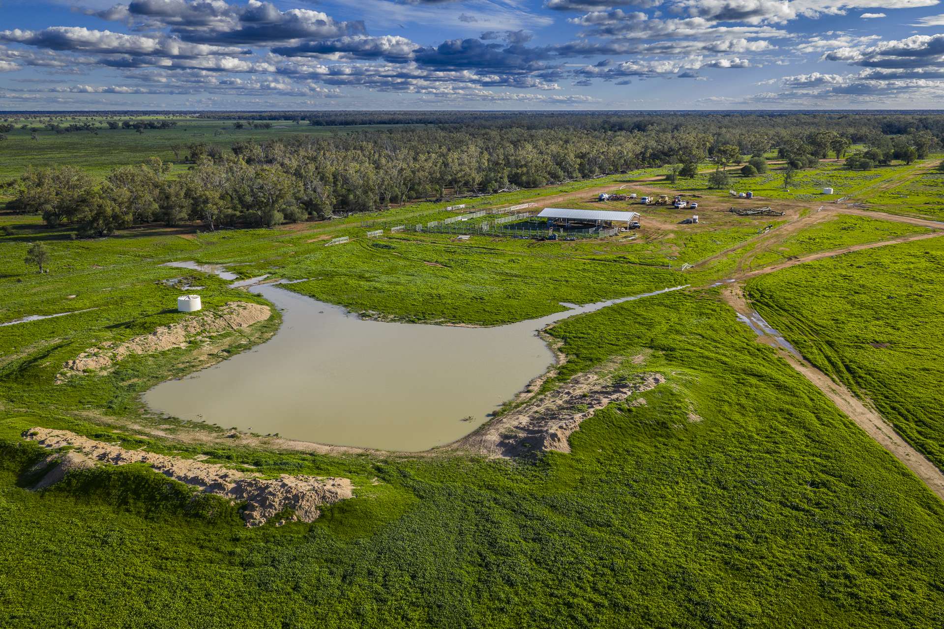 7856 Carinda Road, Gungalman Auction by Farmbuy.com - image 7