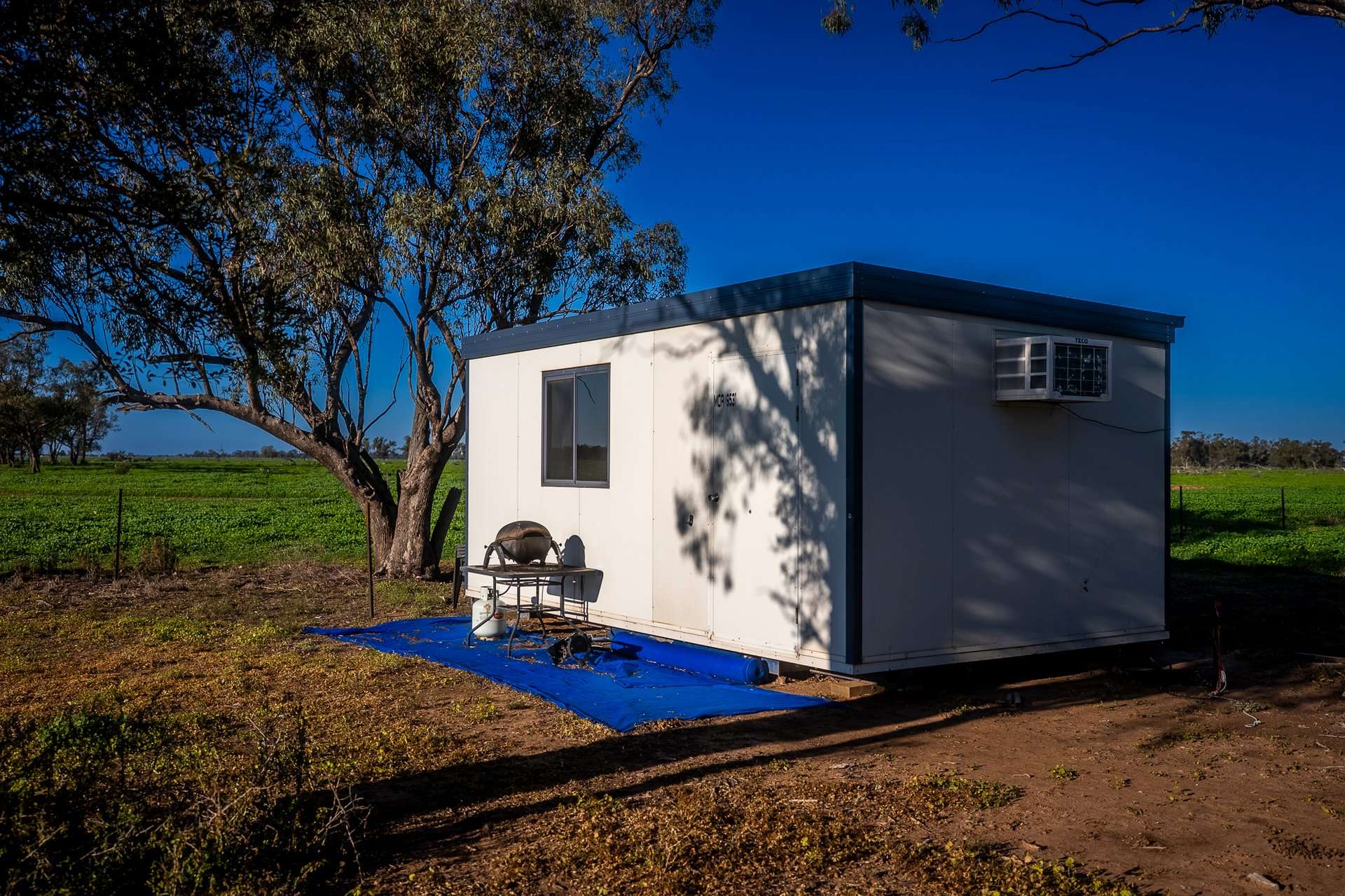 7856 Carinda Road, Gungalman Auction by Farmbuy.com - image 9