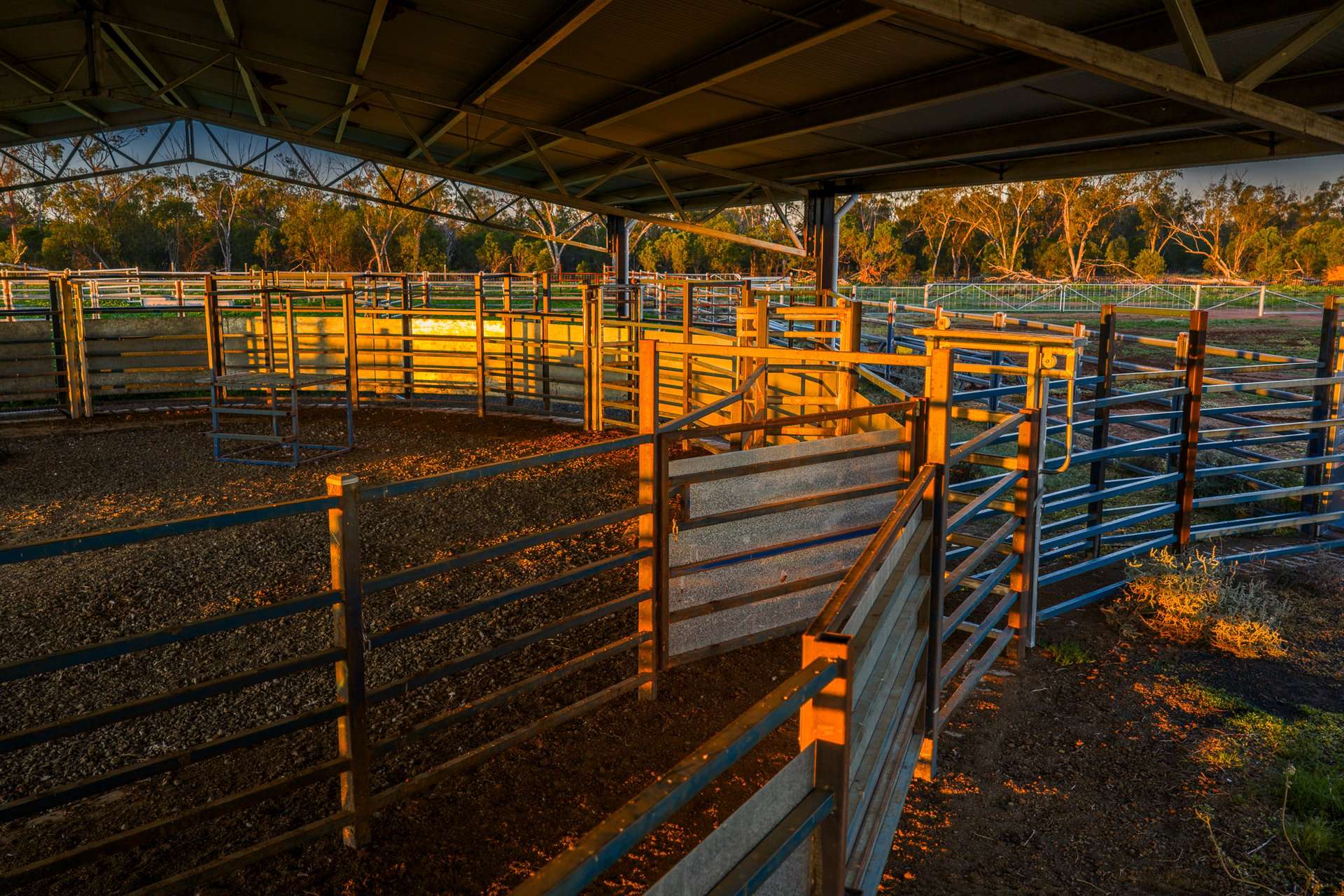 7856 Carinda Road, Gungalman Auction by Farmbuy.com - image 19