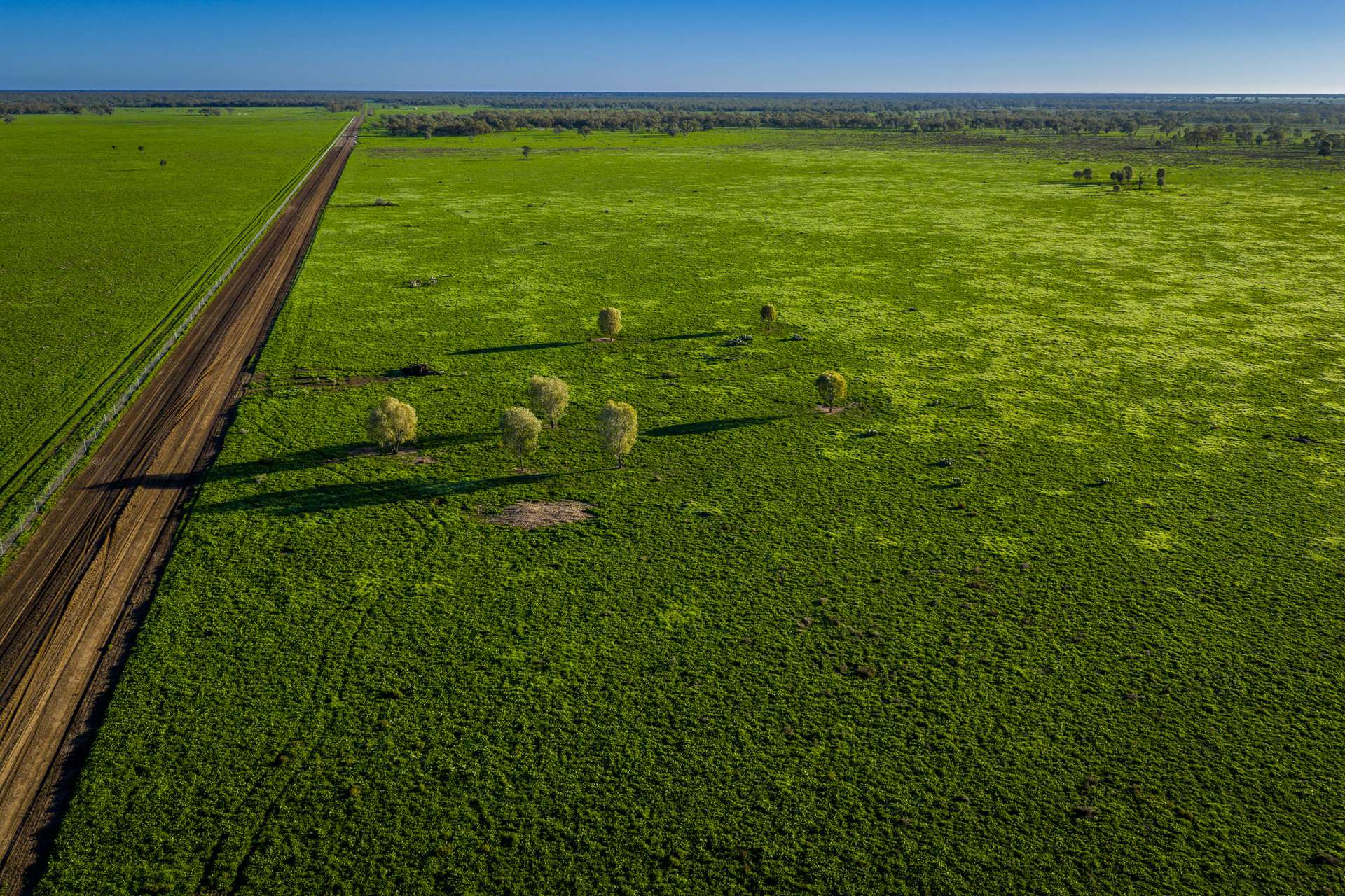 7856 Carinda Road, Gungalman Auction by Farmbuy.com - image 2