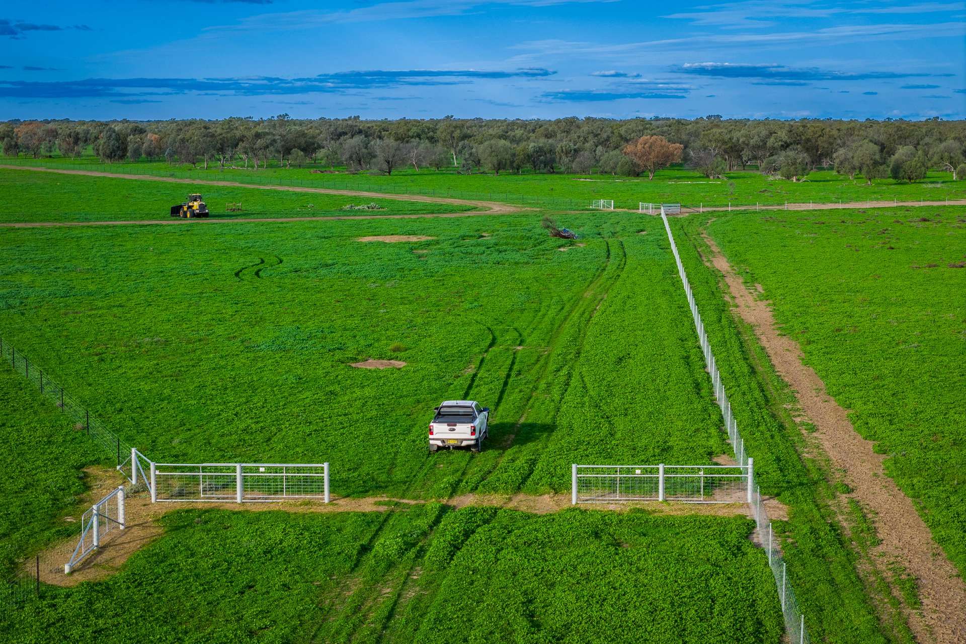 7856 Carinda Road, Gungalman Auction by Farmbuy.com - image 6