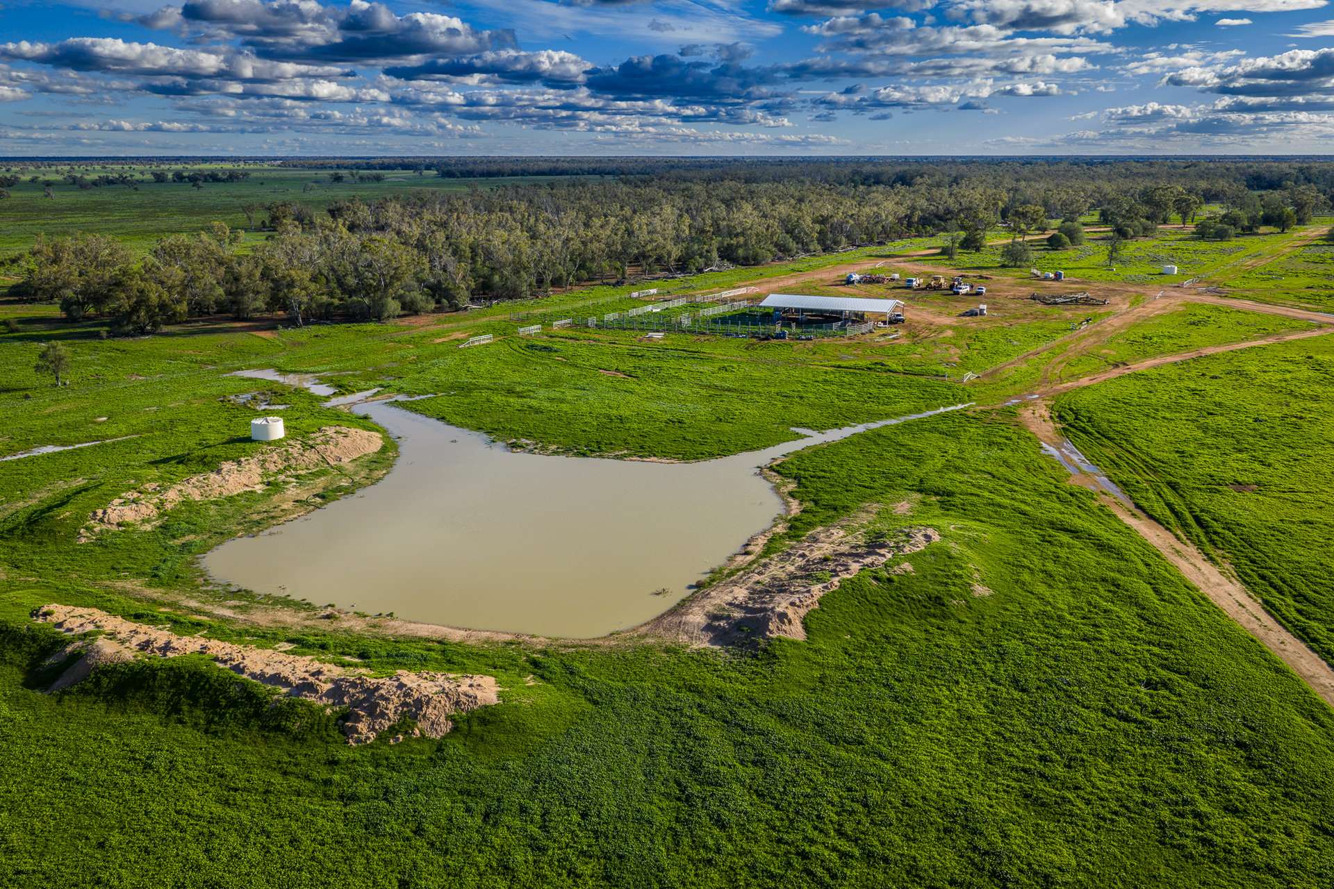 7856 Carinda Road, Gungalman Auction by Farmbuy.com - image 7