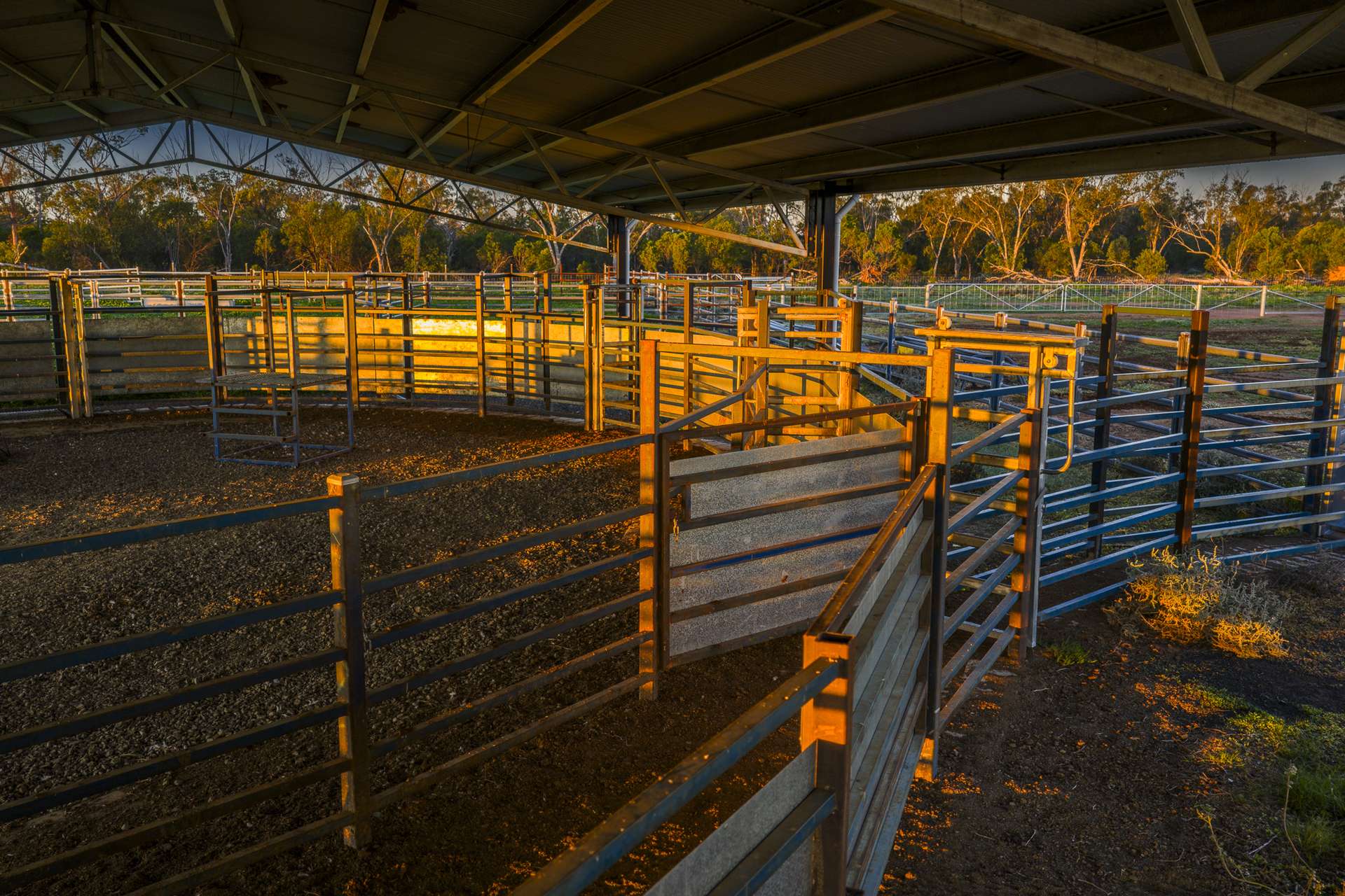 7856 Carinda Road, Gungalman Auction by Farmbuy.com - image 19