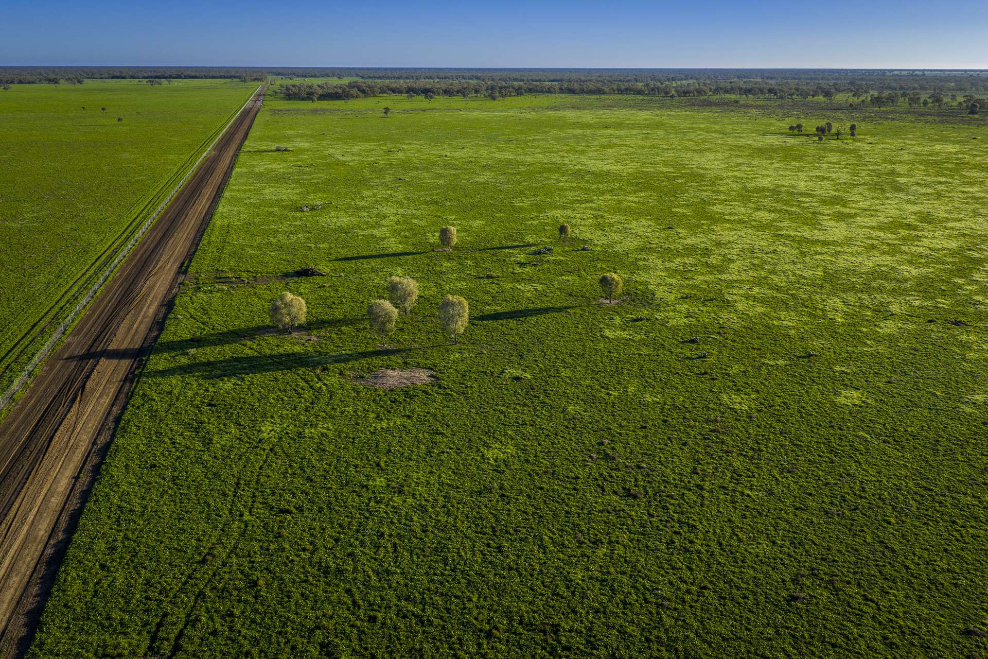 7856 Carinda Road, Gungalman Auction by Farmbuy.com - image 2