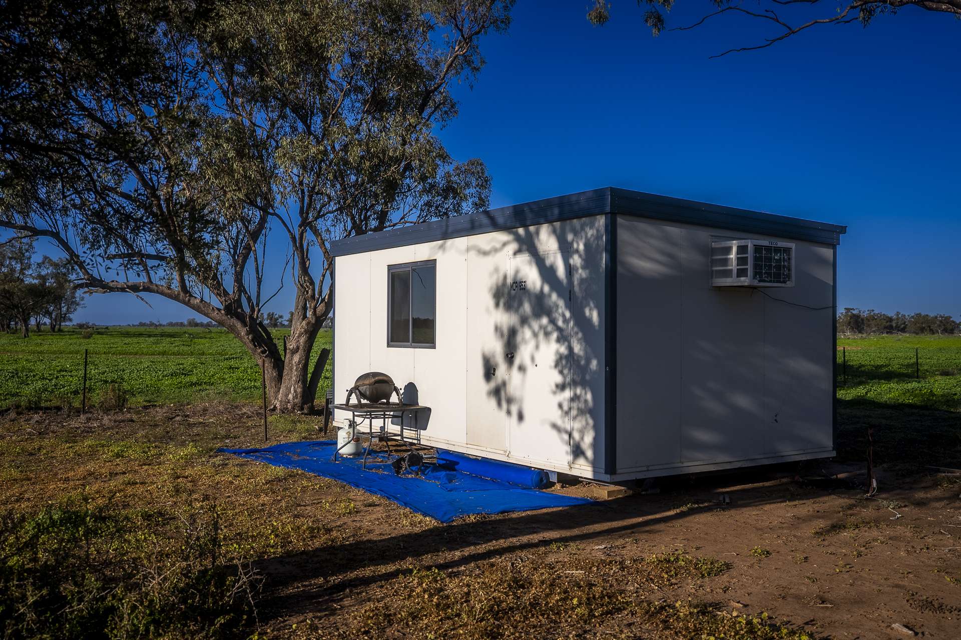 7856 Carinda Road, Gungalman Auction by Farmbuy.com - image 9