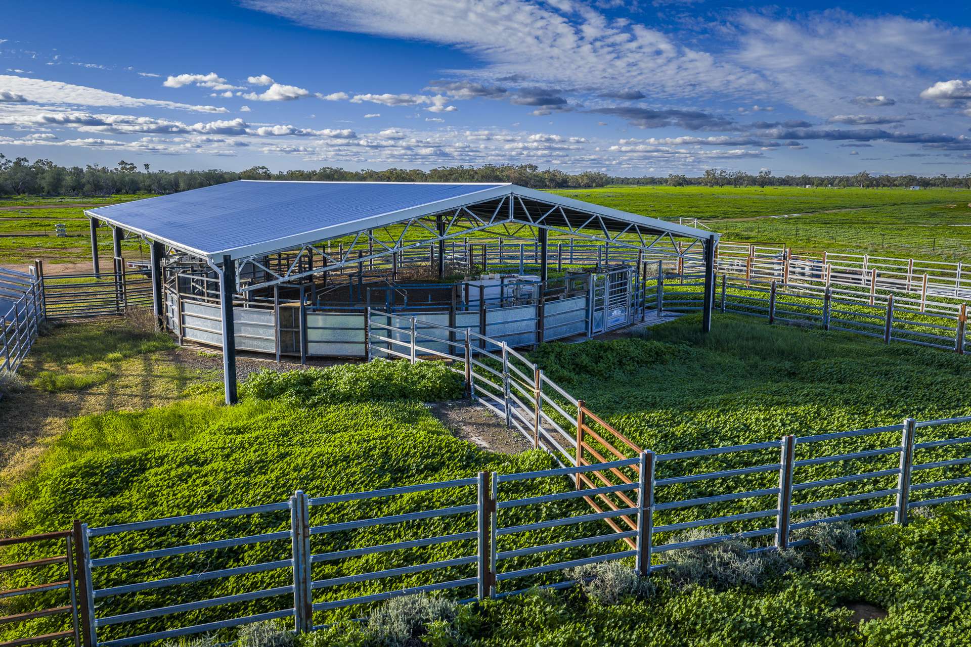 7856 Carinda Road, Gungalman Auction by Farmbuy.com - image 10