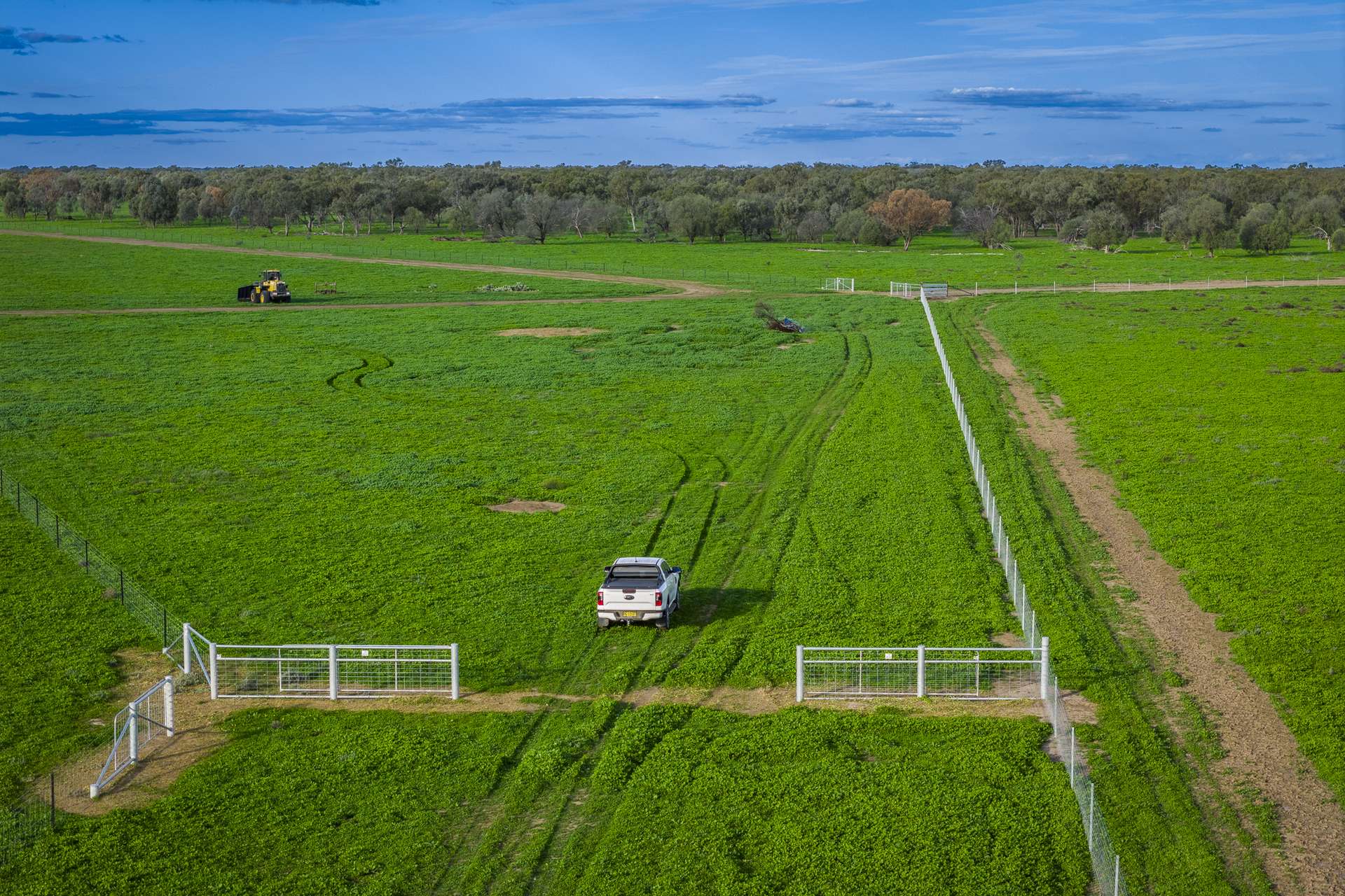7856 Carinda Road, Gungalman Auction by Farmbuy.com - image 6