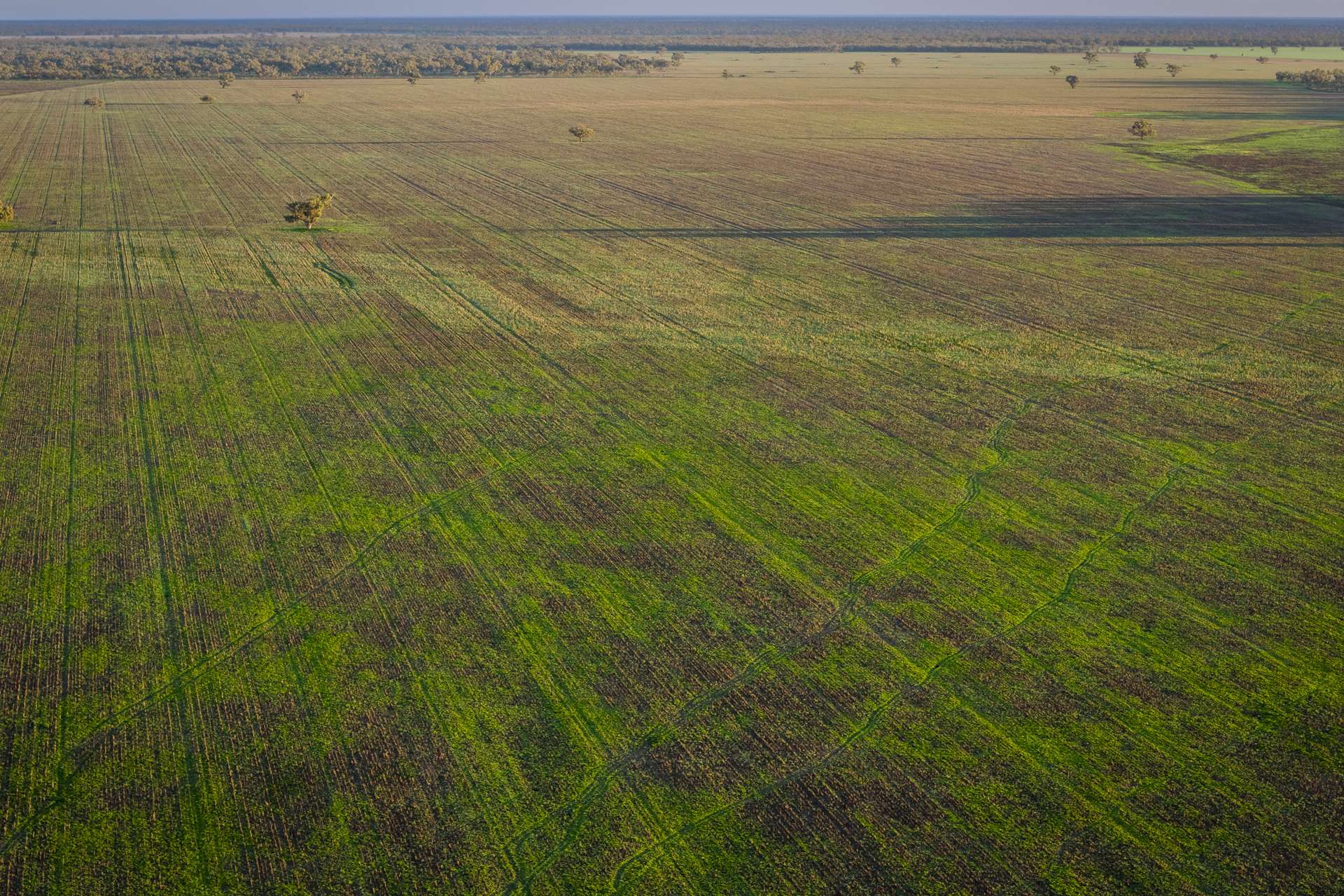 7856 Carinda Road, Gungalman Auction by Farmbuy.com - image 15