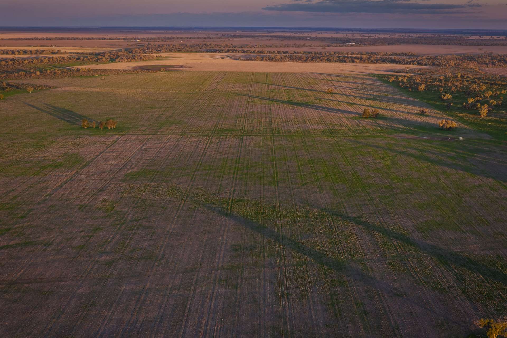 7856 Carinda Road, Gungalman Auction by Farmbuy.com - image 16